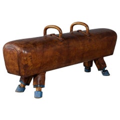 Vintage Leather Pommel Horse