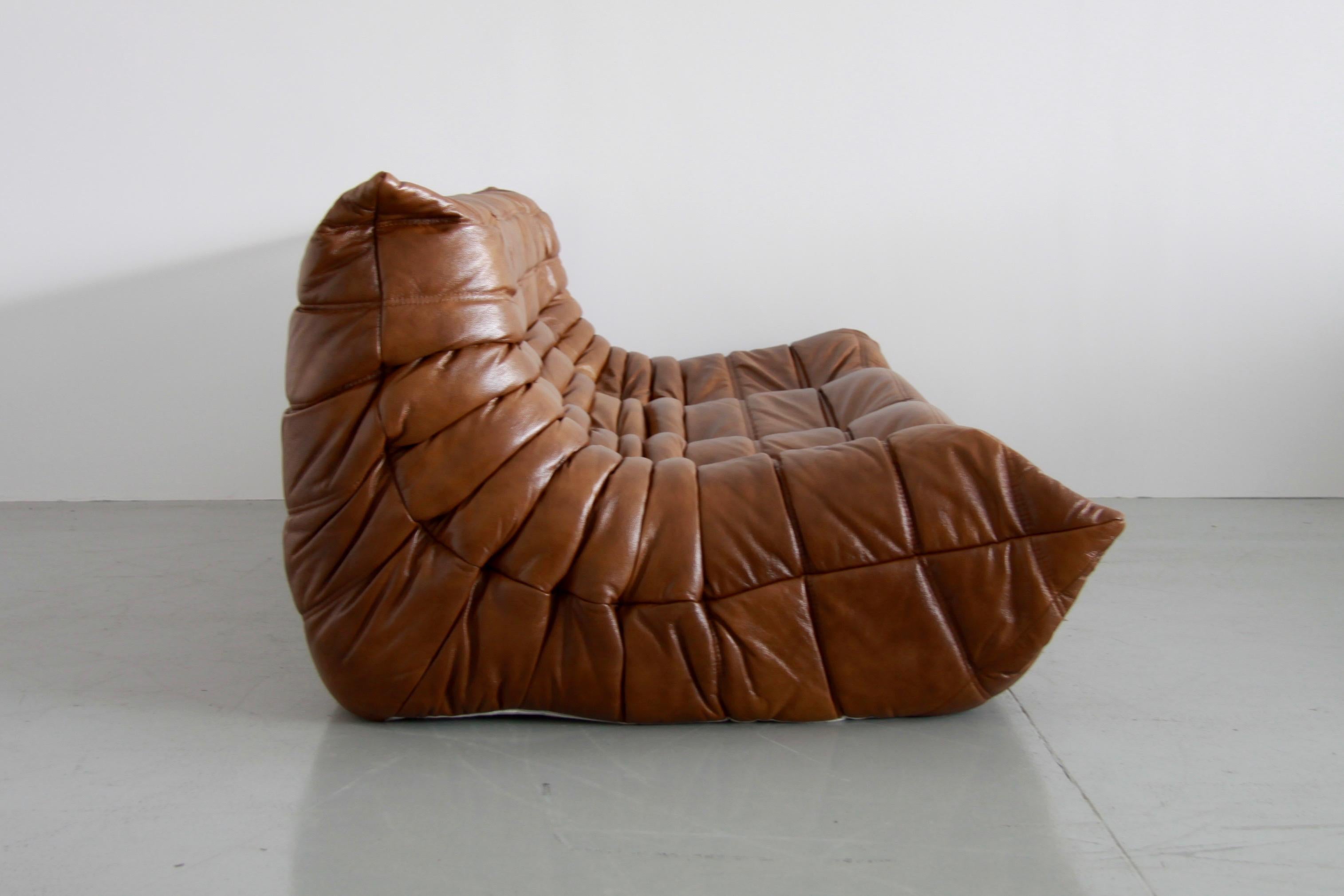 French Vintage Leather Togo Sofa Set by Michel Ducaroy for Ligne Roset, Set of Five