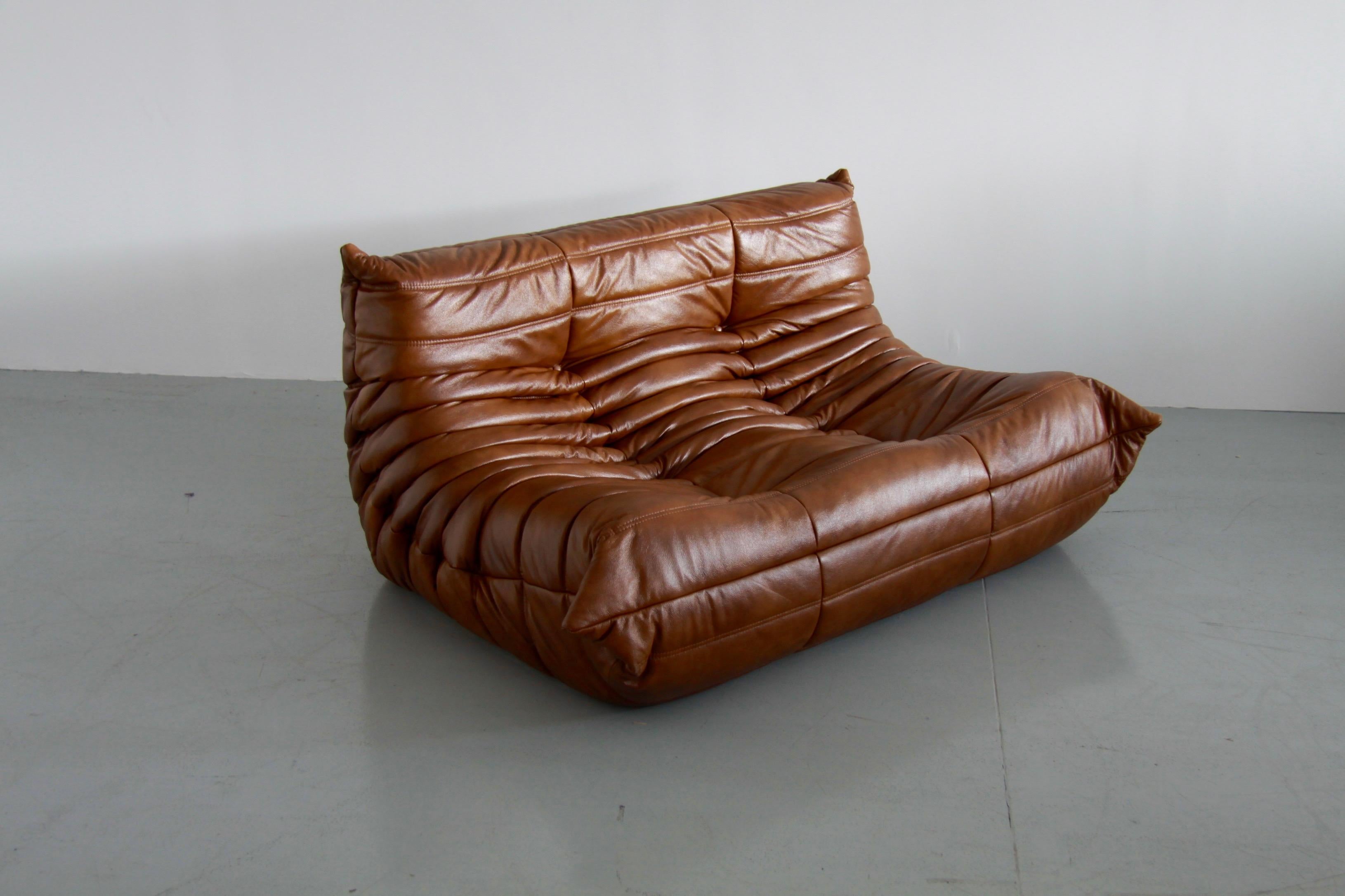 Late 20th Century Vintage Leather Togo Sofa Set by Michel Ducaroy for Ligne Roset, Set of Five
