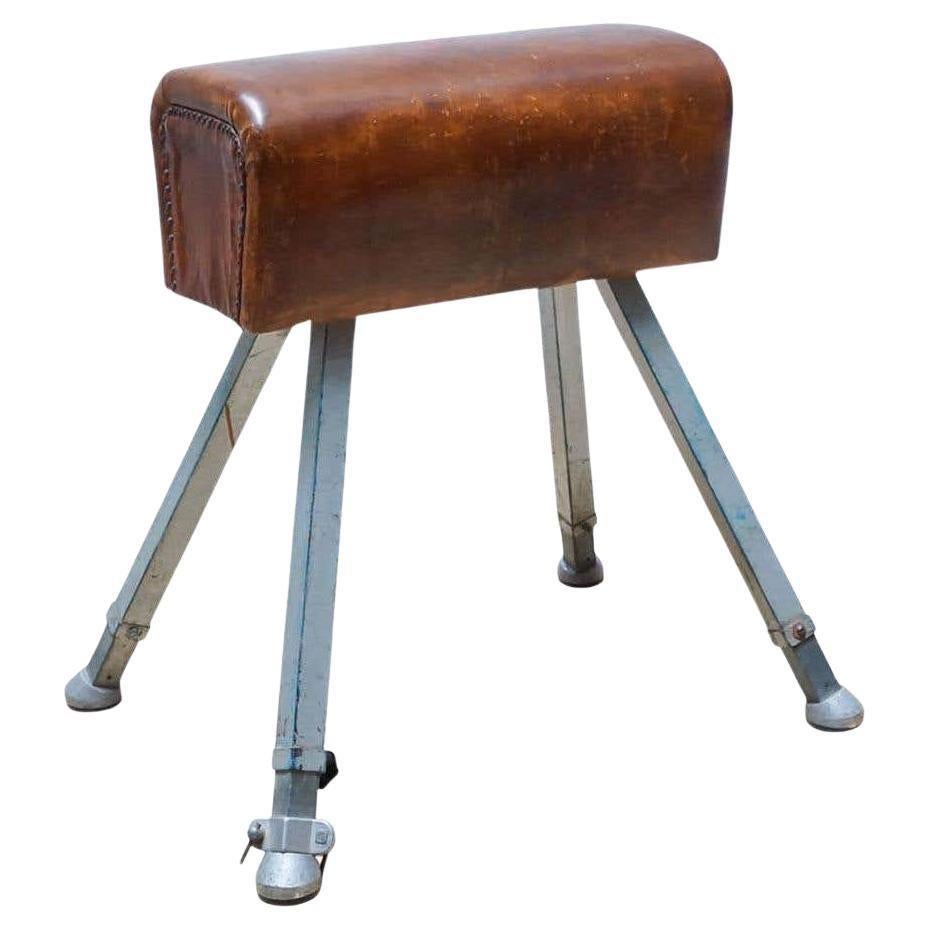 Vaulting horse by unknown manufacturer from France, circa 1950.    In original condition, with minor wear consistent with age and use, preserving a beautiful patina.    Material:  Leather  Metal    Dimensions:  D 9 cm x W 70 cm x H 92 cm.   