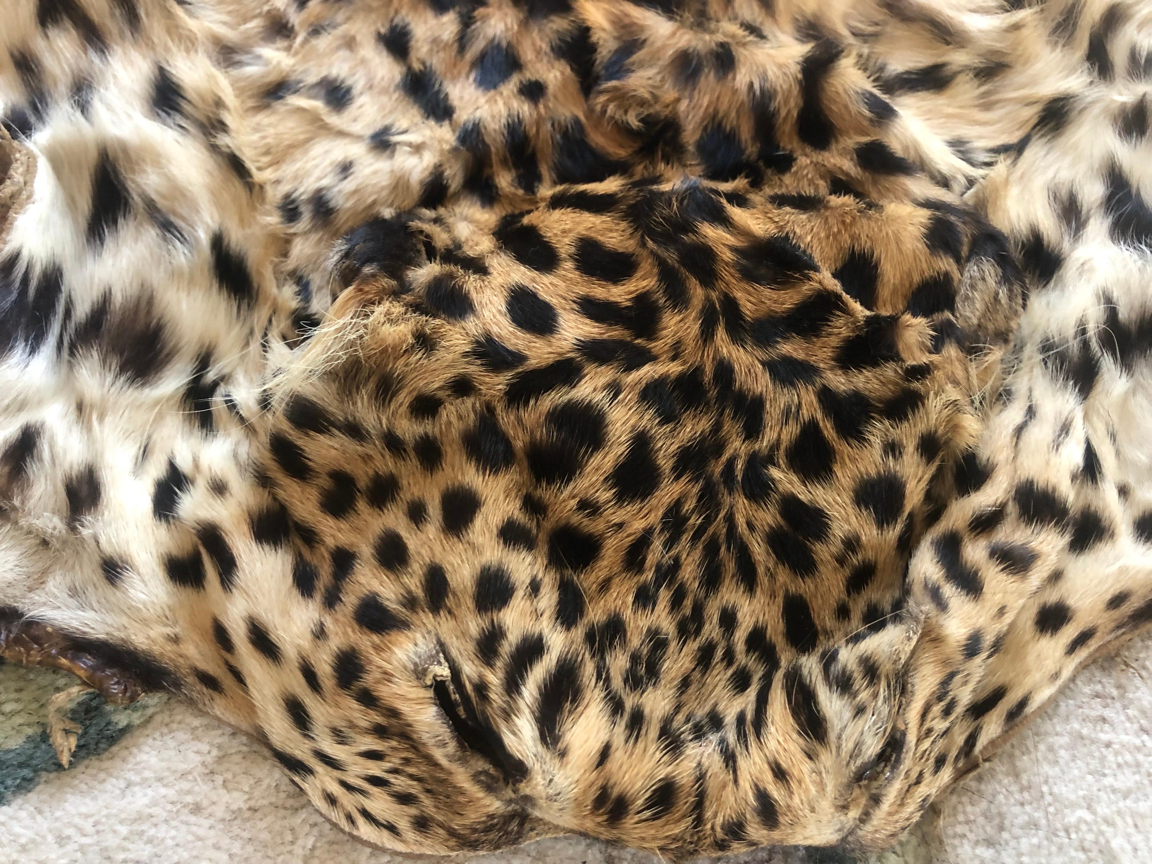 Vintage leopard fur collar and pieces for arts and craft to wear or project 5