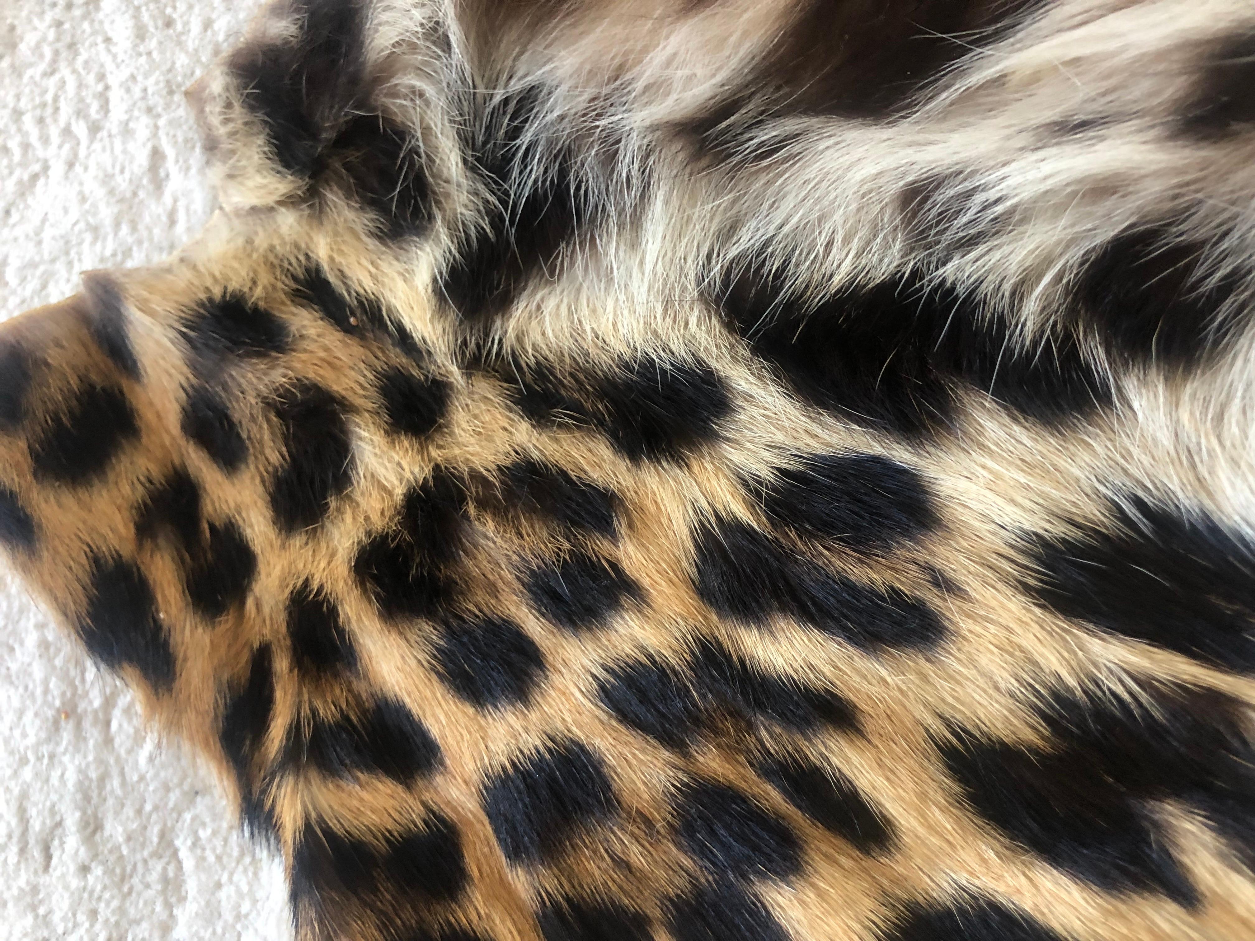 Vintage leopard fur collar and pieces for arts and craft to wear or project 11