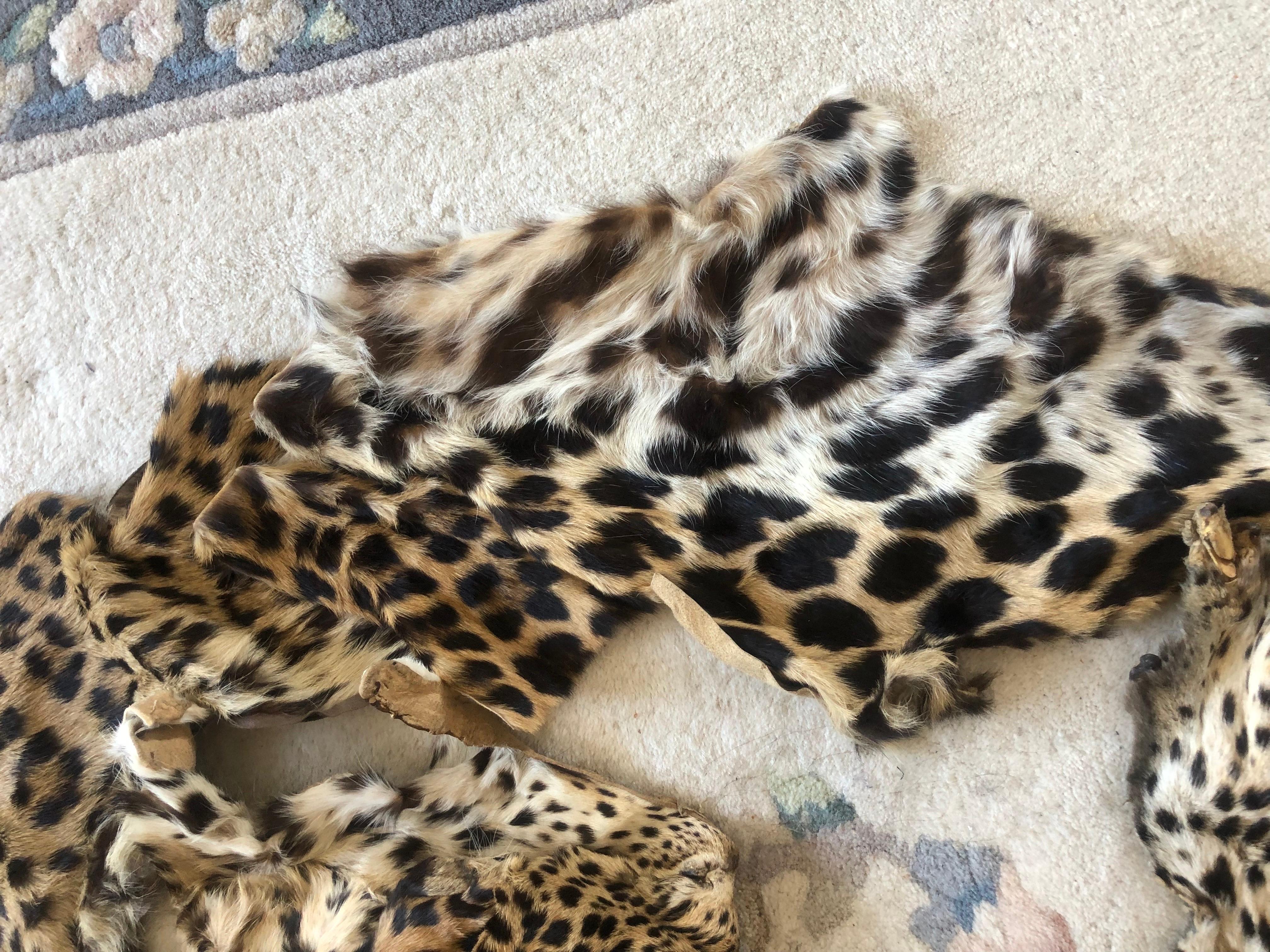 Vintage leopard fur collar and pieces for arts and craft to wear or project 3