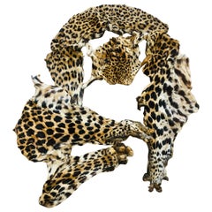 Vintage leopard fur collar and pieces for arts and craft to wear or project