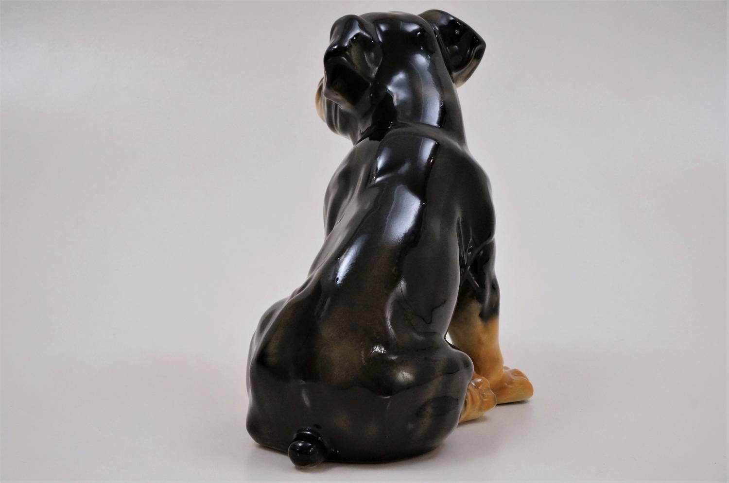 Late 20th Century Vintage Lifesize Ceramic Dog, Rottweiler Pup, 1980s, Spanish For Sale