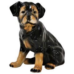 Used Lifesize Ceramic Dog, Rottweiler Pup, 1980s, Spanish