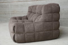 Vintage Ligne Roset Kashima Loveseat Re-Upholstered in Velvet Fabric