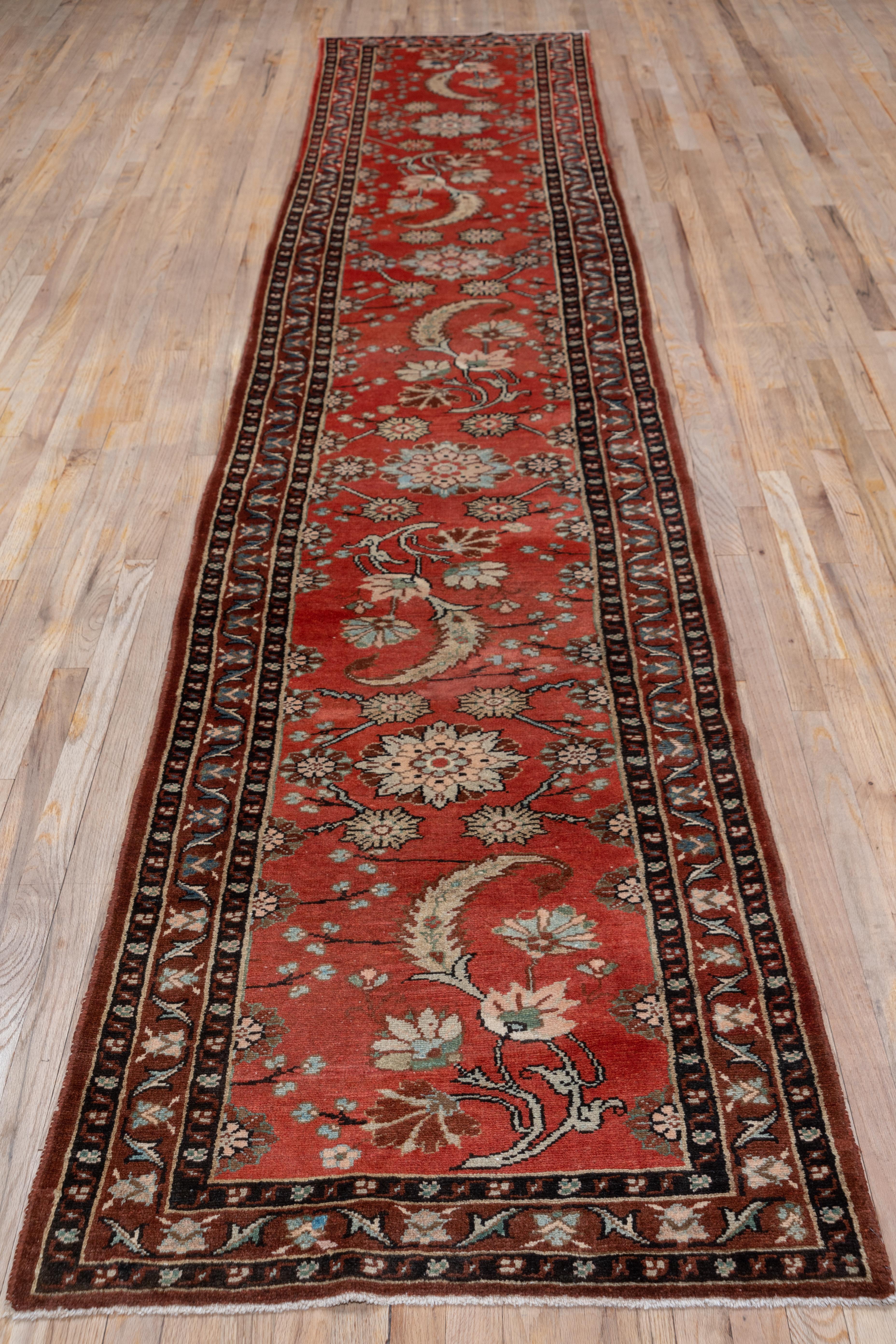 This Hamadan region village red runner displays eight petal large rosettes and dynamic leaves with supporting lesser rosettes and palmettes in shades pf pale green, navy, cream and blue-black. The condition is excellent, with full pile and a