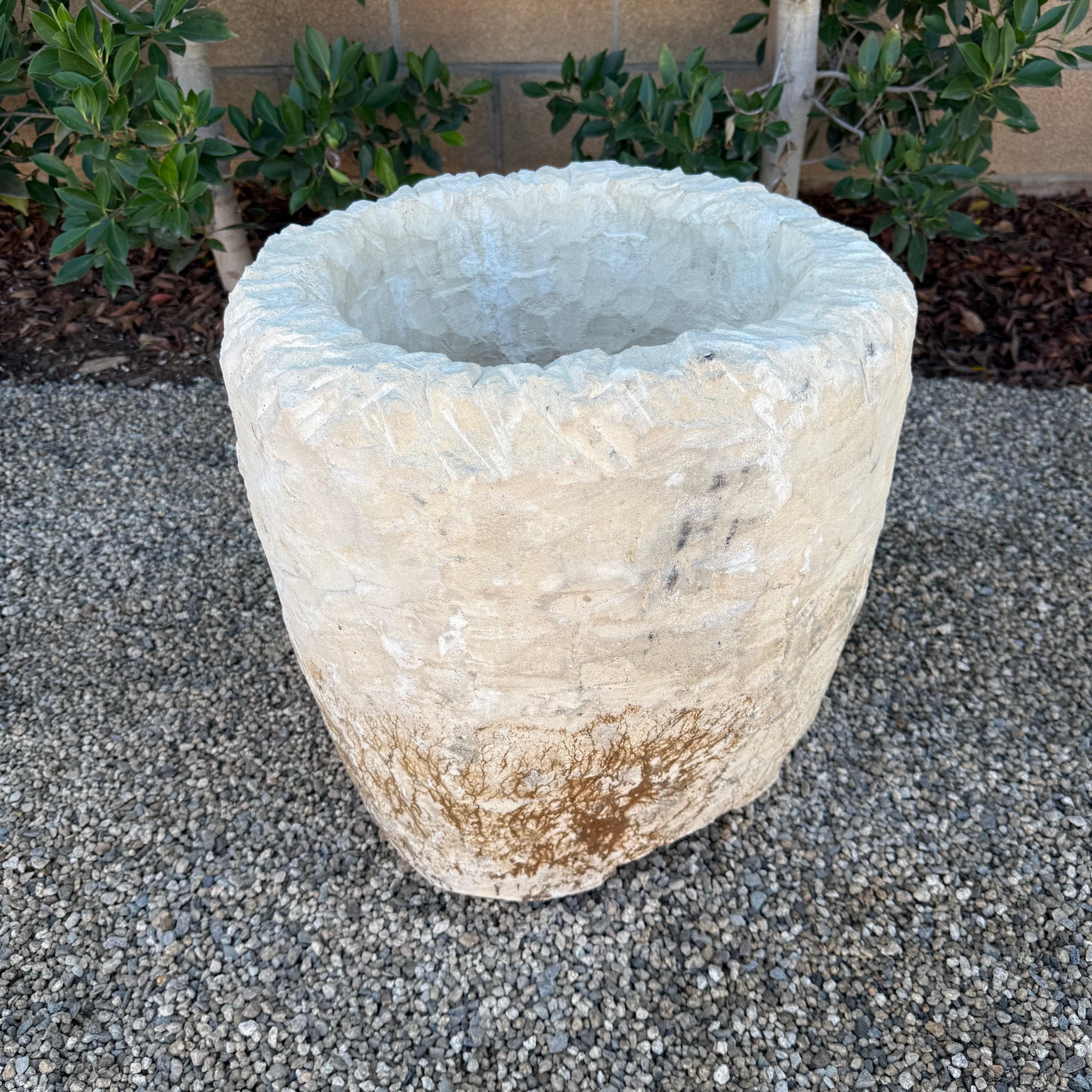 Organic Modern Vintage Limestone Trough Medium Size with Sea Fan Fossilization For Sale