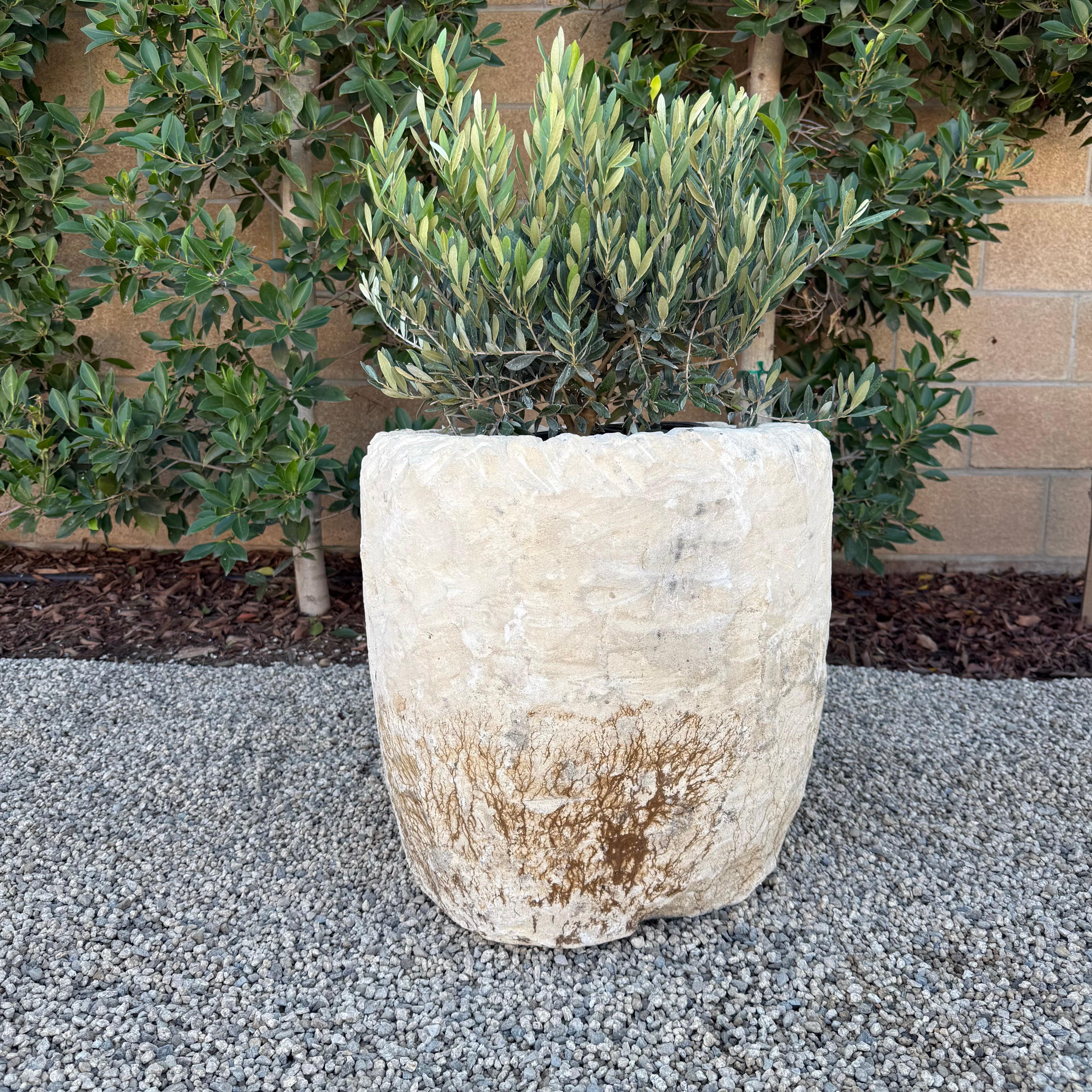 20th Century Vintage Limestone Trough Medium Size with Sea Fan Fossilization For Sale
