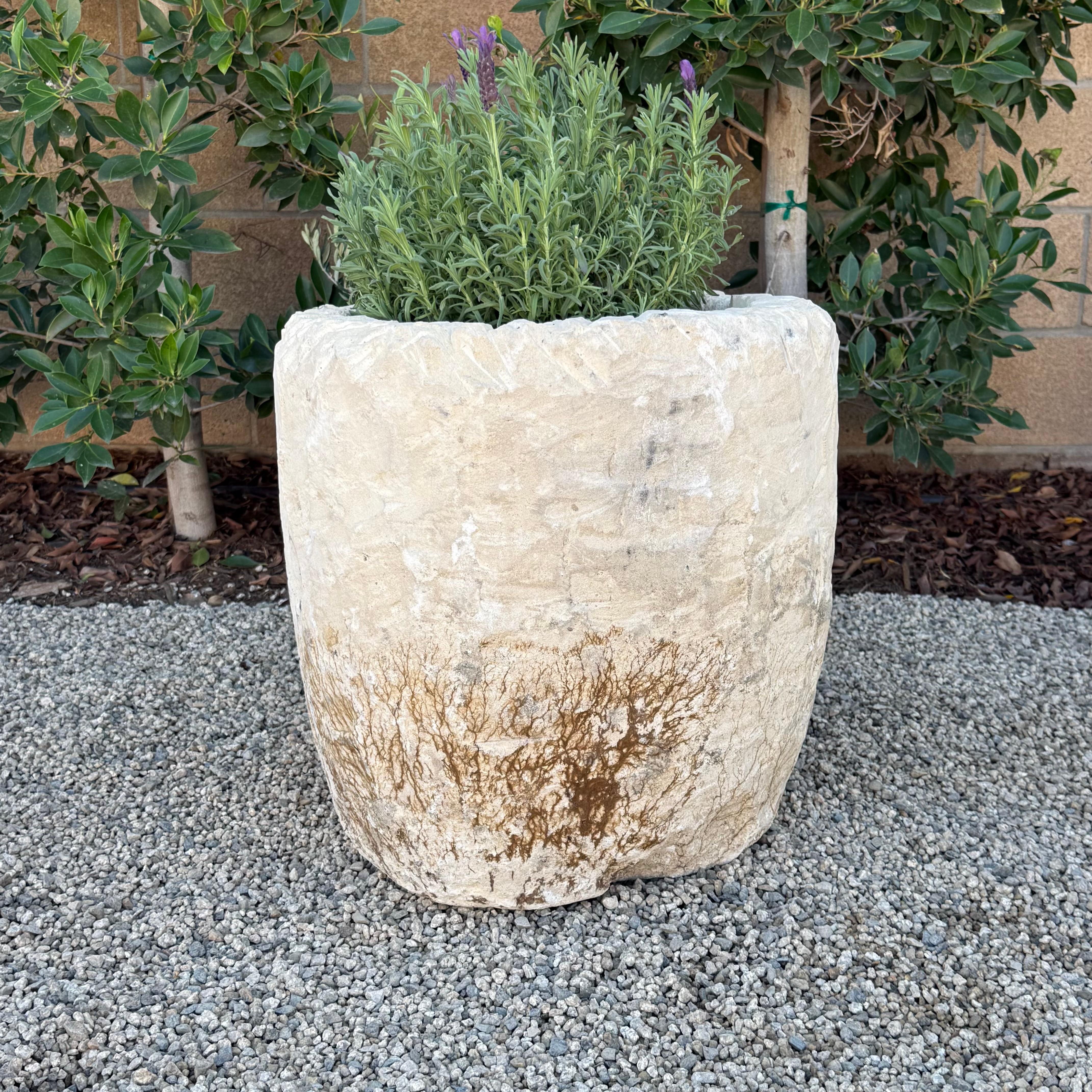 Vintage Limestone Trough Medium Size with Sea Fan Fossilization For Sale 1