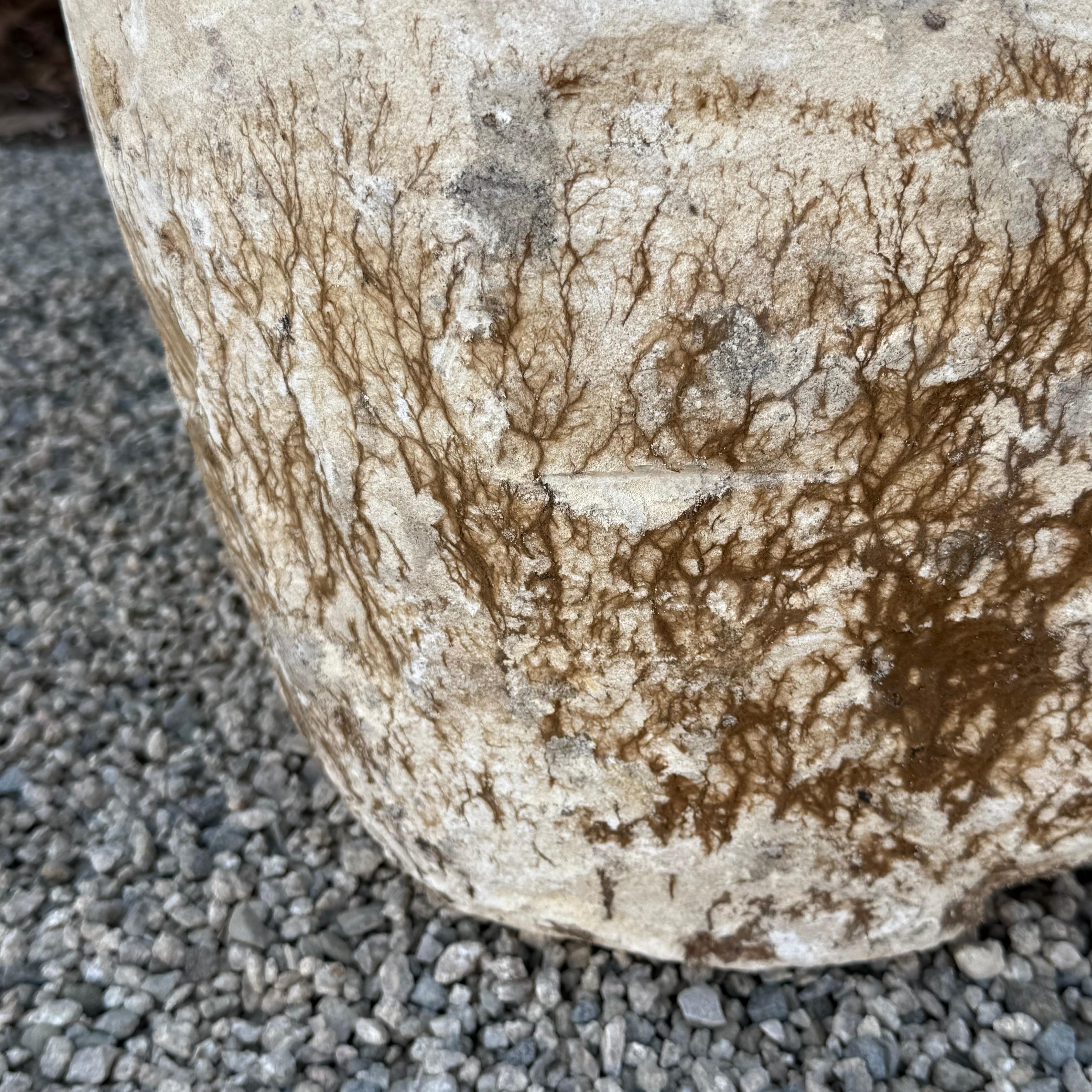 Vintage Limestone Trough Medium Size with Sea Fan Fossilization For Sale 2