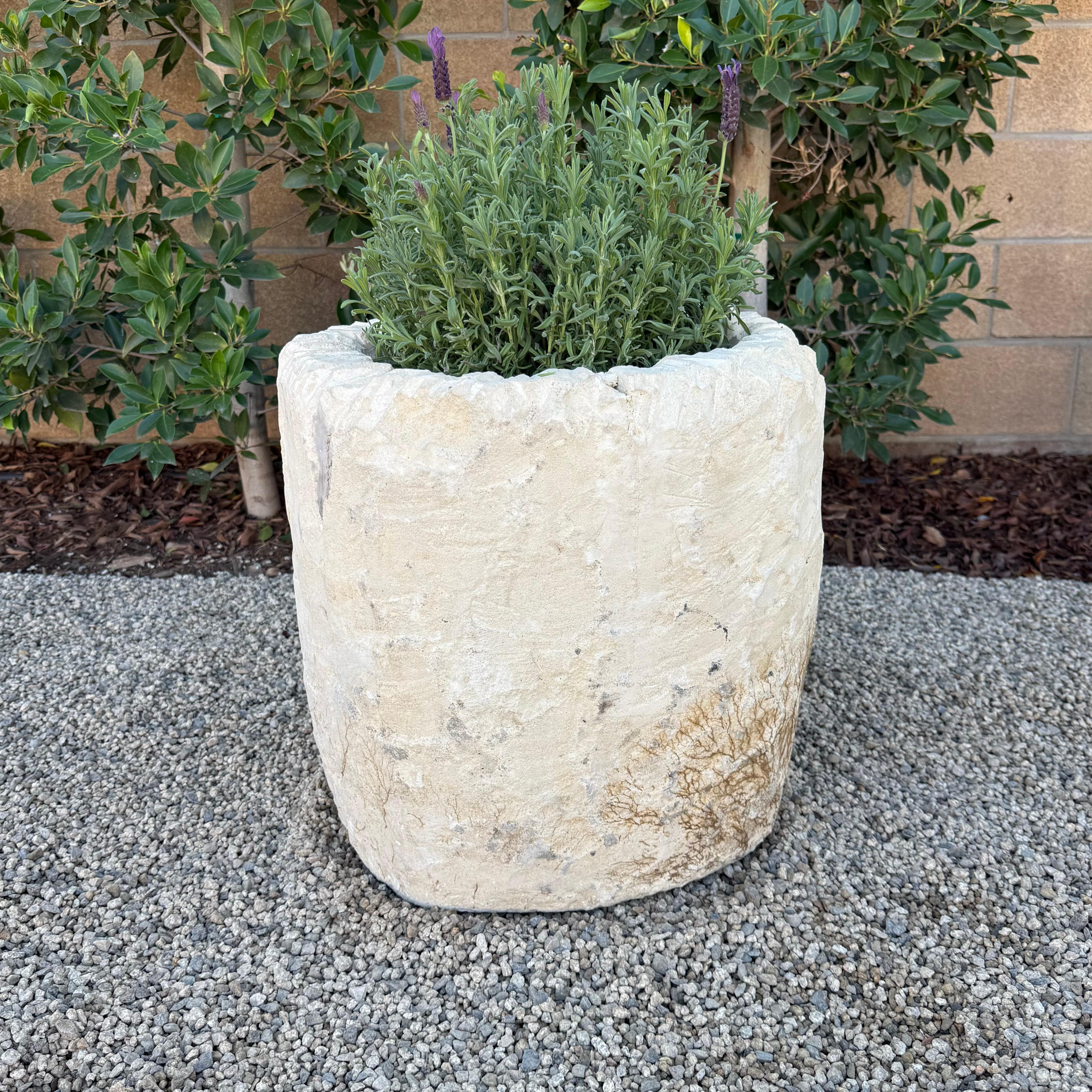Vintage Limestone Trough Medium Size with Sea Fan Fossilization For Sale 4