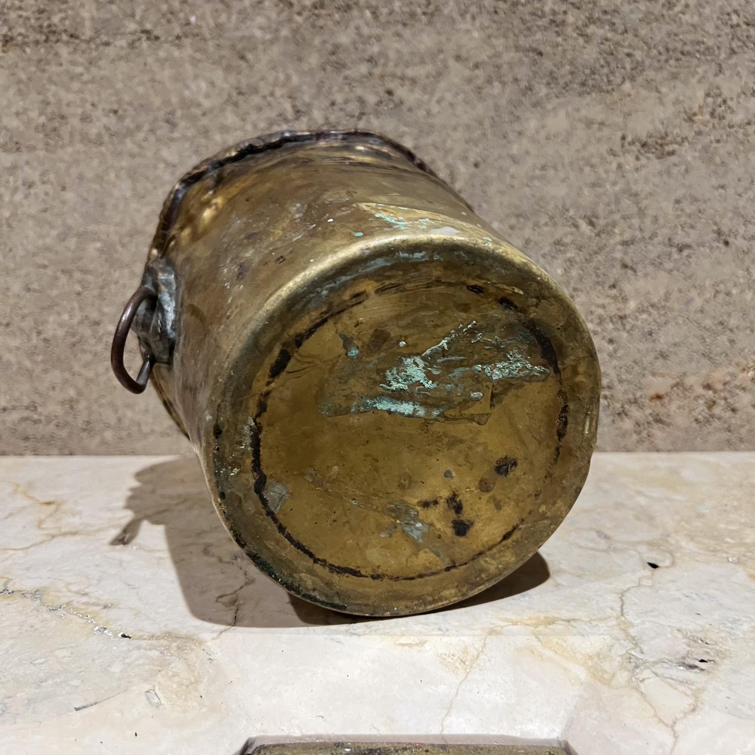 Vaso fioriera d'epoca in ottone patinato con testa di leone Jardiniere in vendita 4