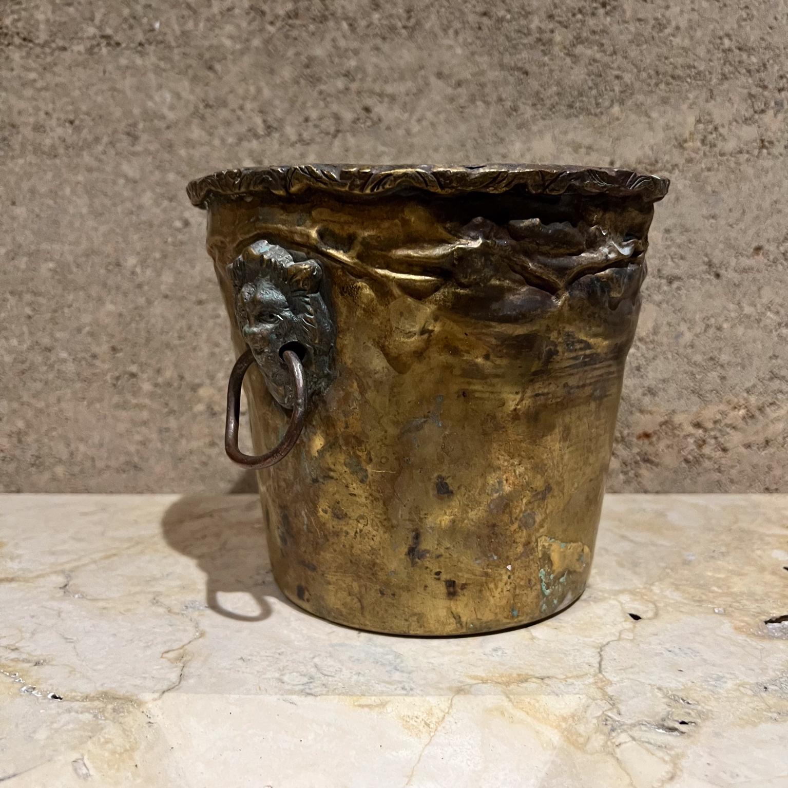 Mid-Century moderno Vaso fioriera d'epoca in ottone patinato con testa di leone Jardiniere in vendita