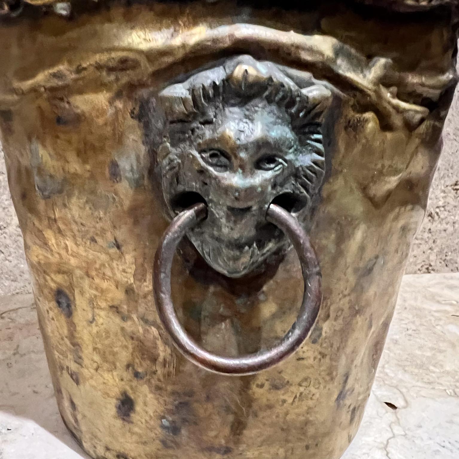 XX secolo Vaso fioriera d'epoca in ottone patinato con testa di leone Jardiniere in vendita