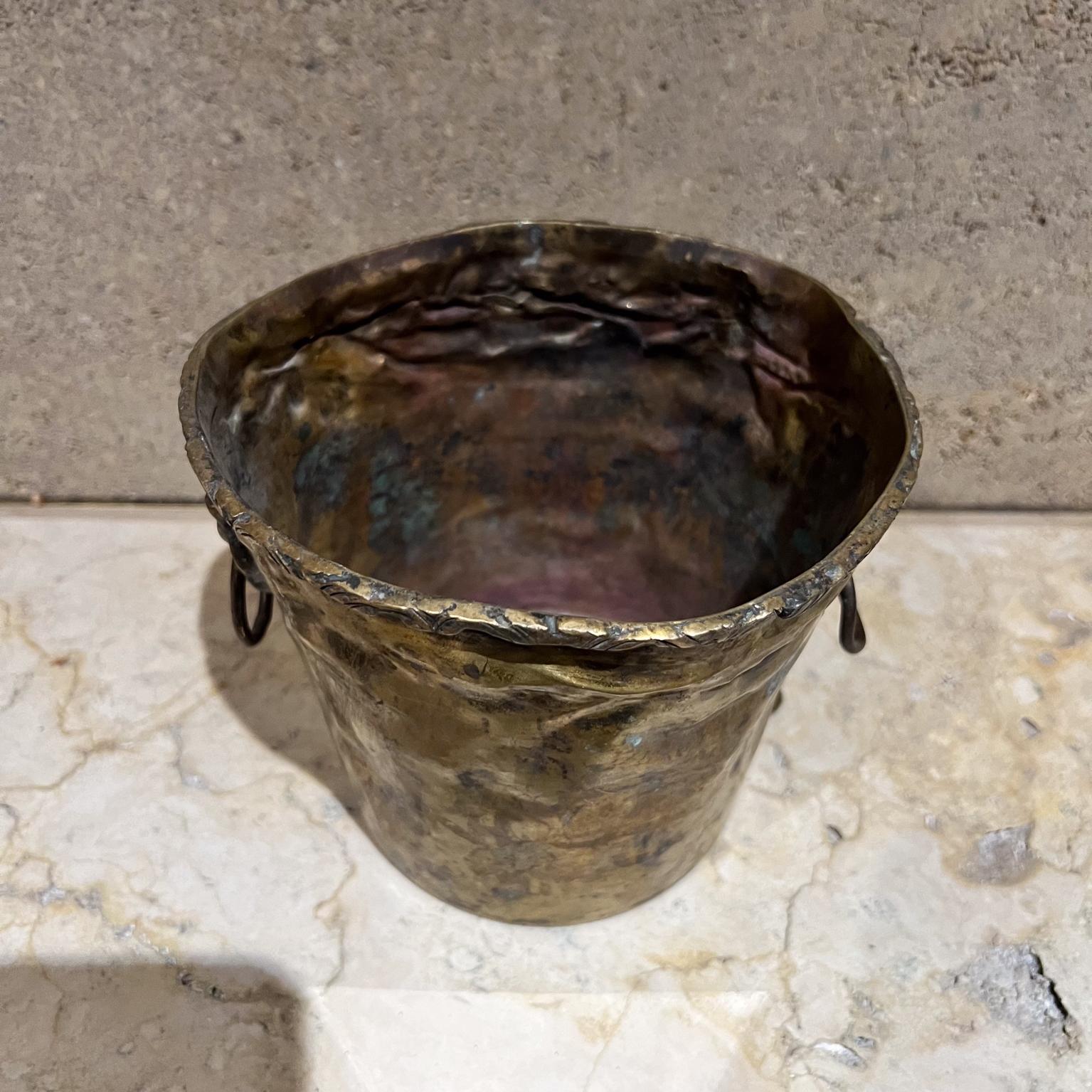 Vaso fioriera d'epoca in ottone patinato con testa di leone Jardiniere in vendita 1