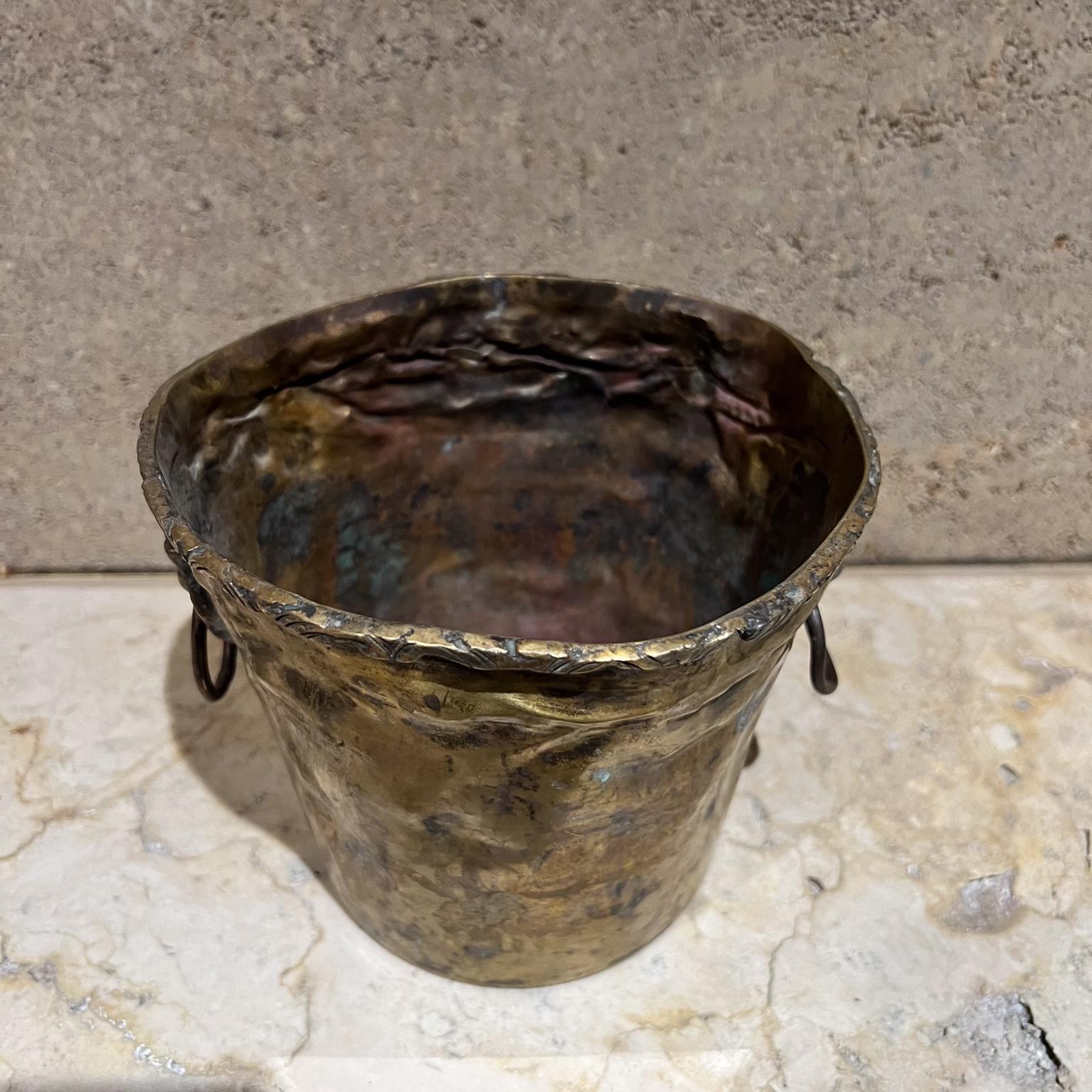 Vaso fioriera d'epoca in ottone patinato con testa di leone Jardiniere in vendita 2