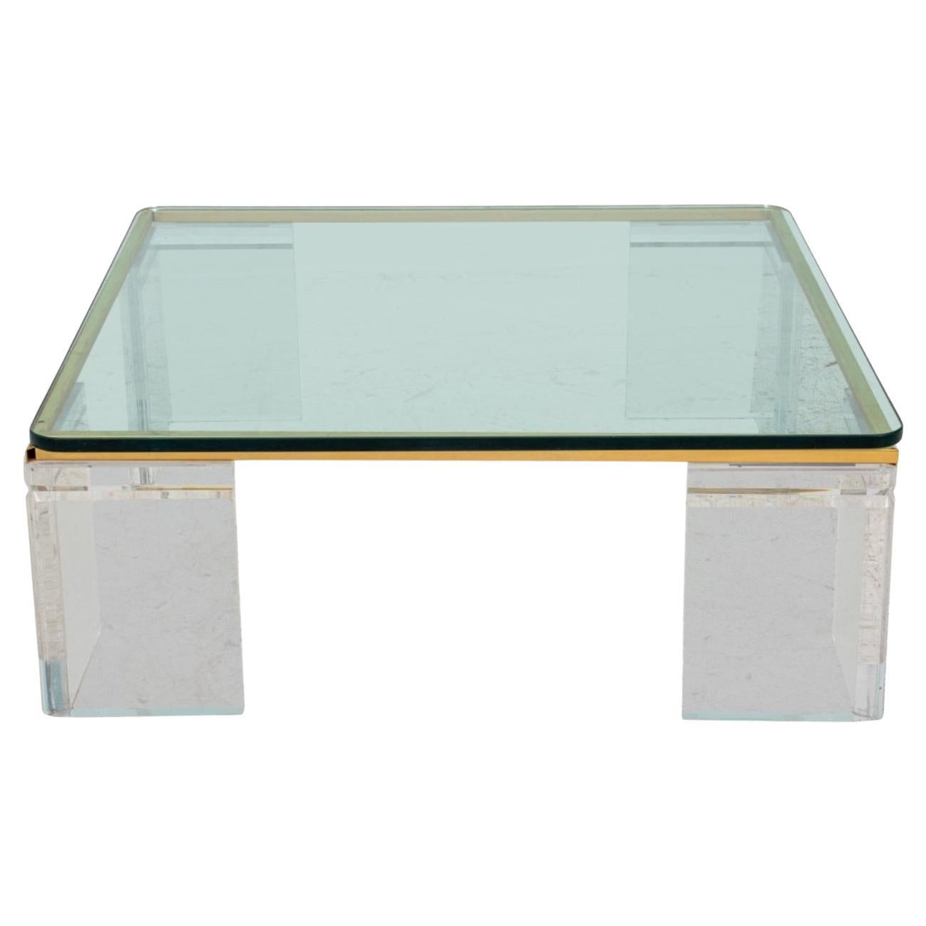 Vintage Lion in Frost Lucite & Brass Coffee Table For Sale