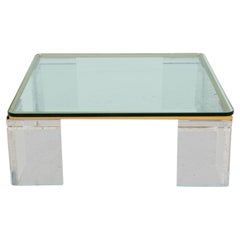 Vintage Lion in Frost Lucite & Brass Coffee Table