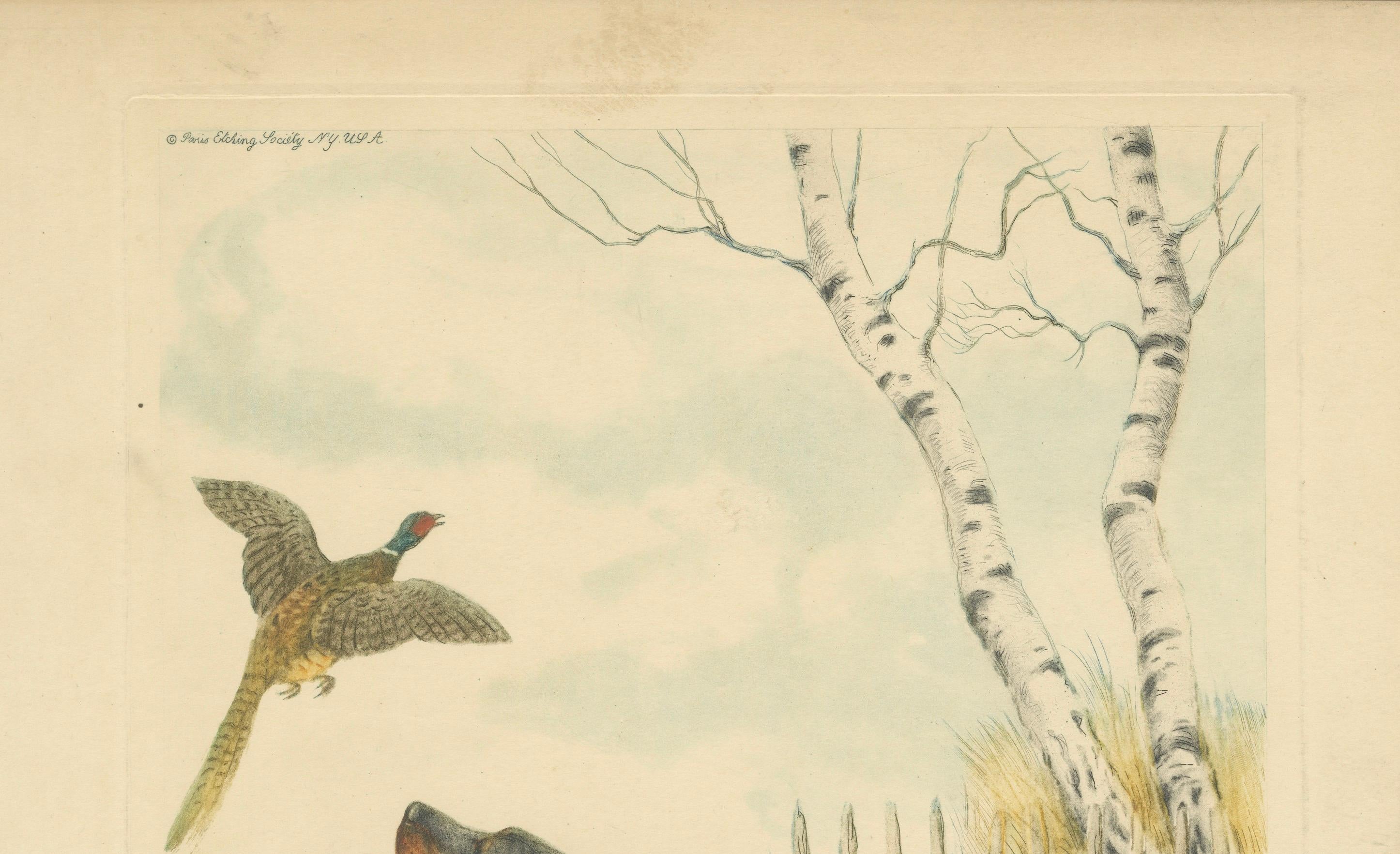 Vintage Lithograph “Setter and Pheasant” by Paul Wood – New York, 1930s