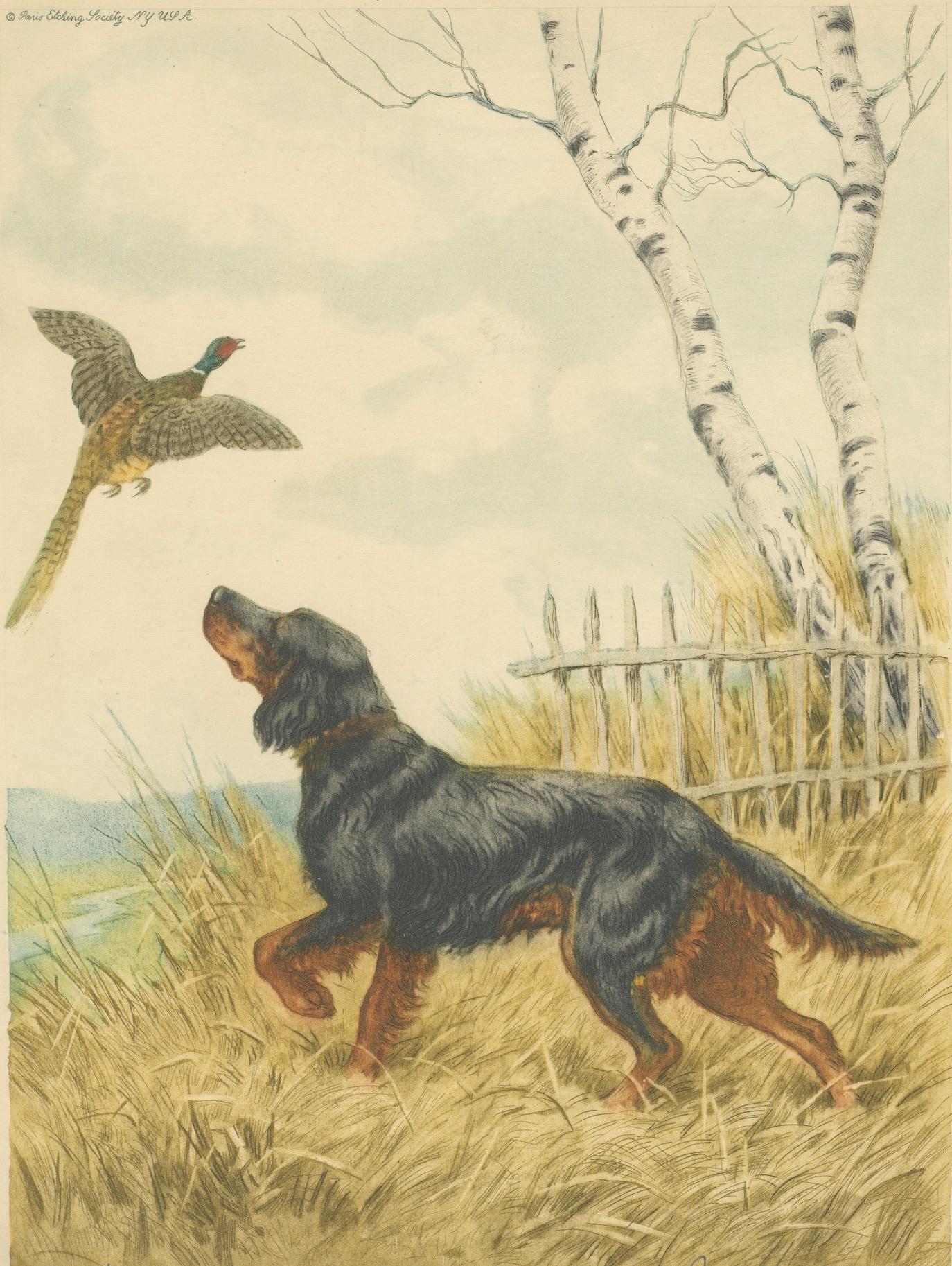 Vintage Lithograph “Setter and Pheasant” by Paul Wood – New York, 1930s