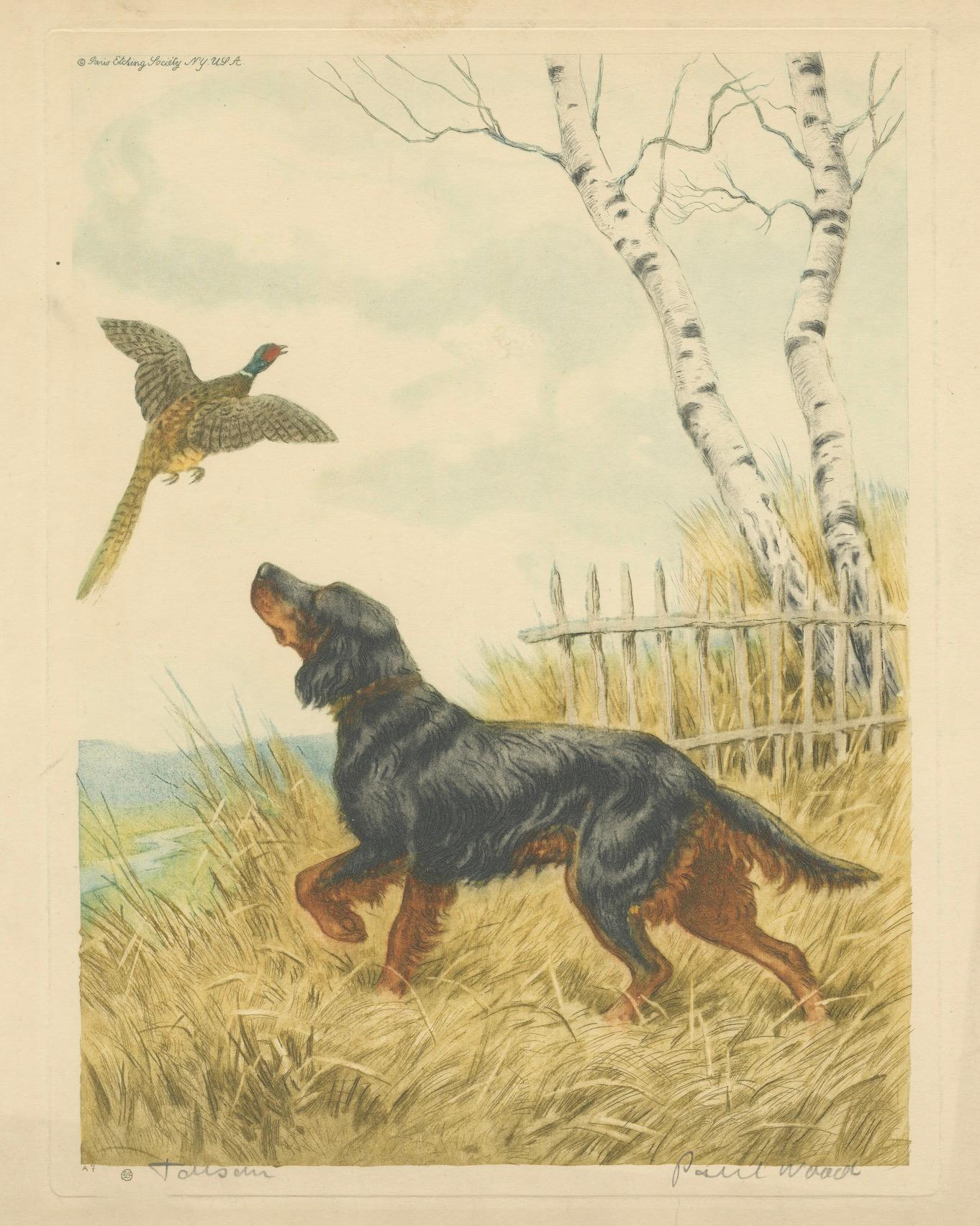 Vintage Lithograph “Setter and Pheasant” by Paul Wood – New York, 1930s