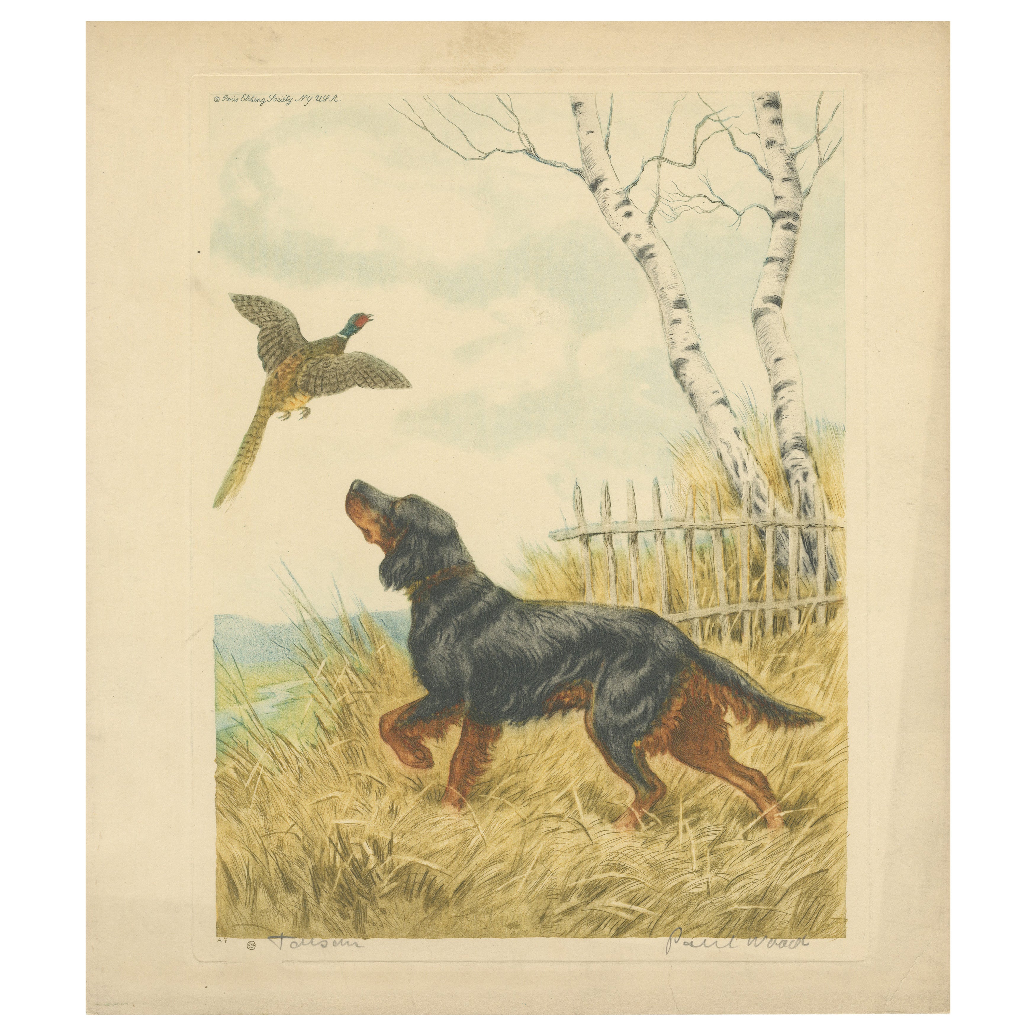 Vintage Lithographie "Setter und Fasan" von Paul Wood - New York, 1930er Jahre