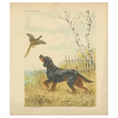 Vintage Lithograph “Setter and Pheasant” by Paul Wood – New York, 1930s
