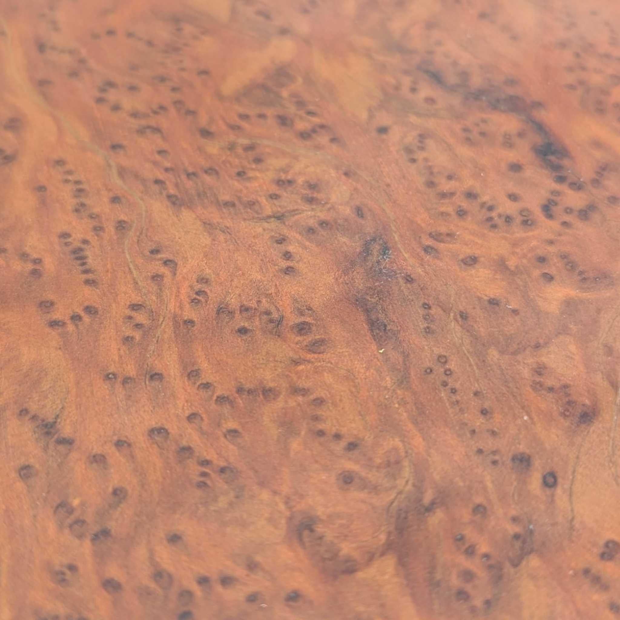 Mesa de centro vintage de madera de burl con base escultural de raíz, c. 1970 en venta 11
