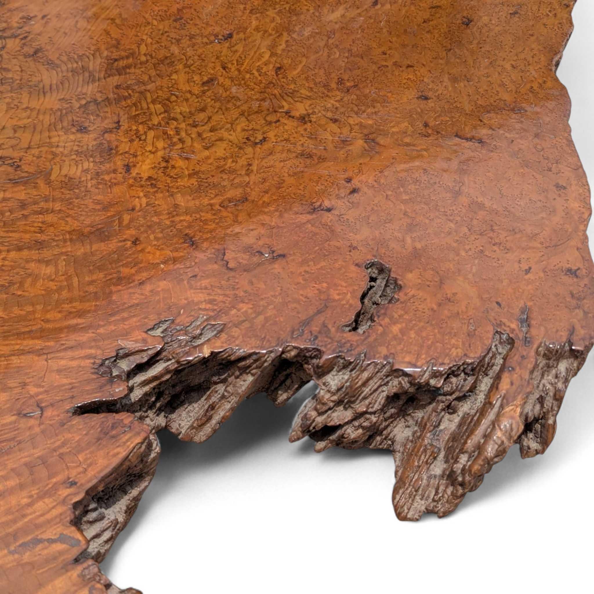 Mesa de centro vintage de madera de burl con base escultural de raíz, c. 1970 en venta 1