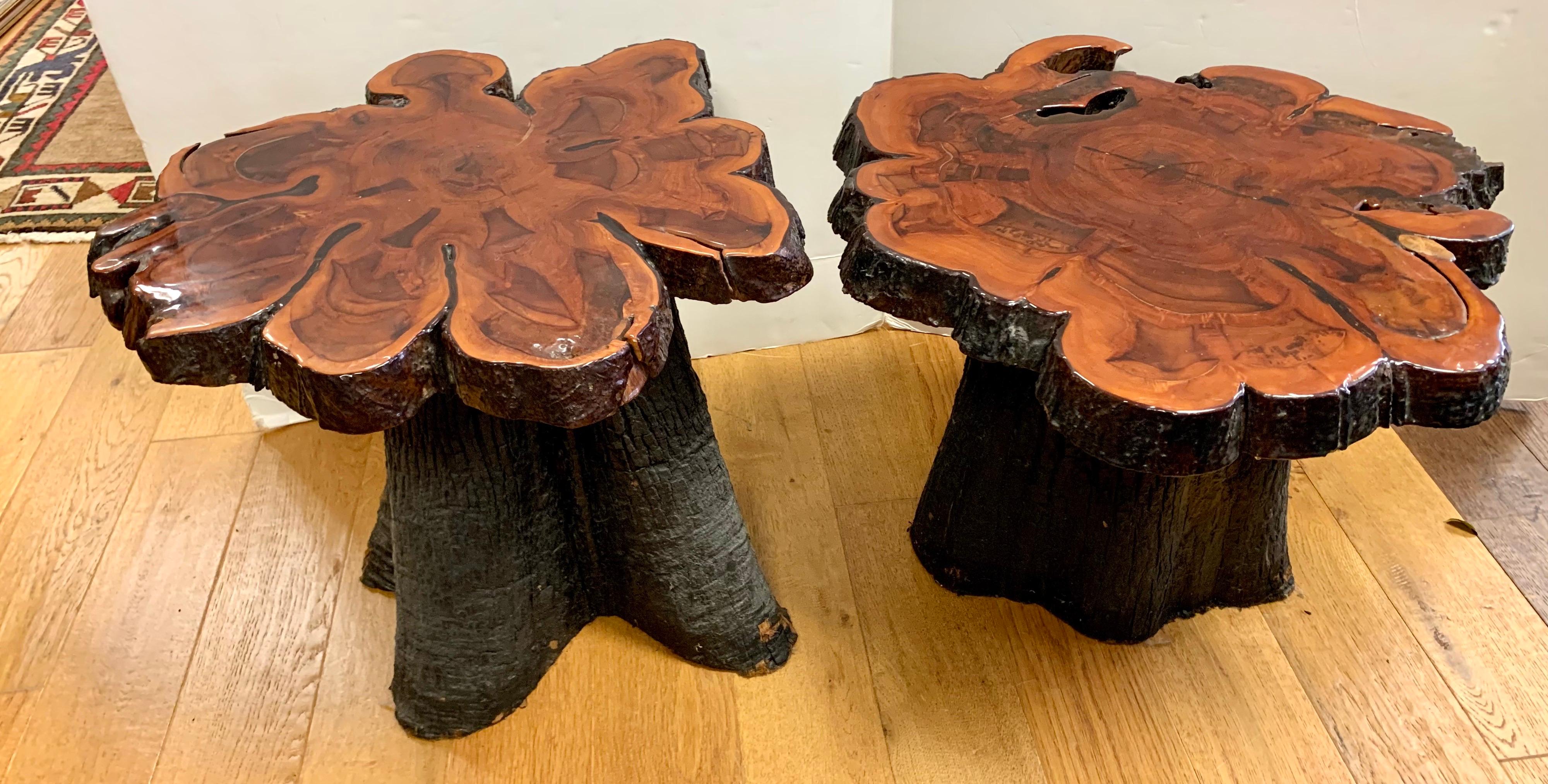 A architectural treasure is this pair of organic modern live edge end tables made of a single slab of wood with a tree trunk base.