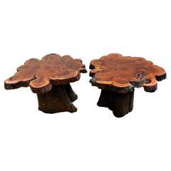 Vintage Live Edge Organic Tree Slab End Tables, Pair