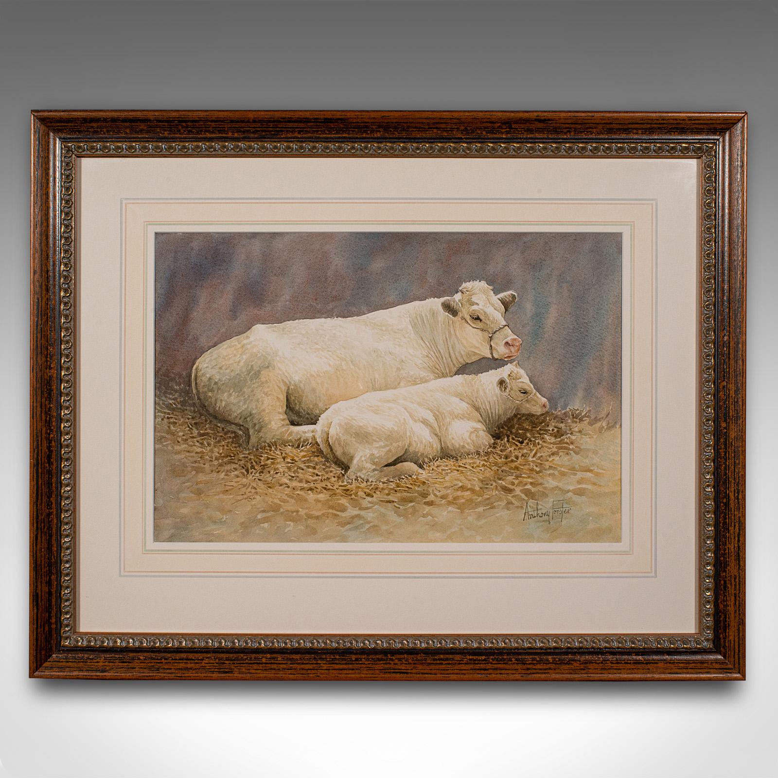 Dies ist ein Vintage-Vieh Aquarell. Eine englische, gerahmte Tierstudie von landwirtschaftlichem Interesse aus dem späten 20. Jahrhundert, um 1990.

Charmantes Aquarell einer Charolais-Mutter mit ihrem Kalb
Zeigt eine wünschenswerte gealterte Patina