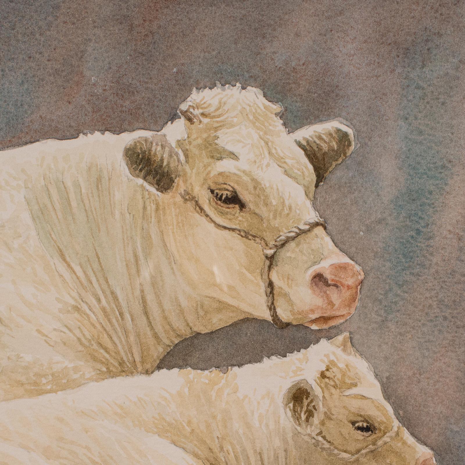 Vintage-Aquarell auf Vieh, Englisch, Kunst, Tiermalerei, Bauernhof, Bild im Zustand „Gut“ im Angebot in Hele, Devon, GB