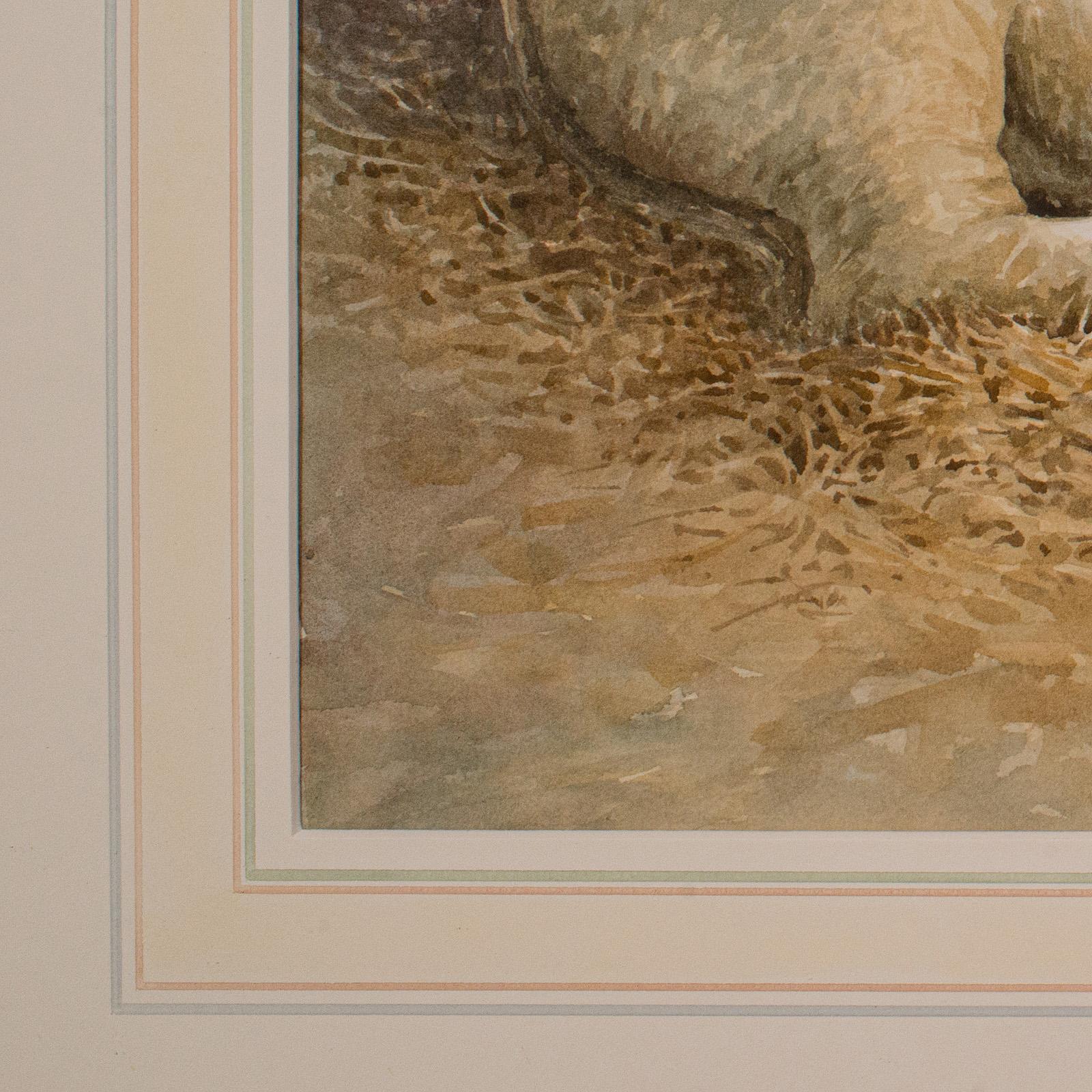 Vintage-Aquarell auf Vieh, Englisch, Kunst, Tiermalerei, Bauernhof, Bild (Glas) im Angebot