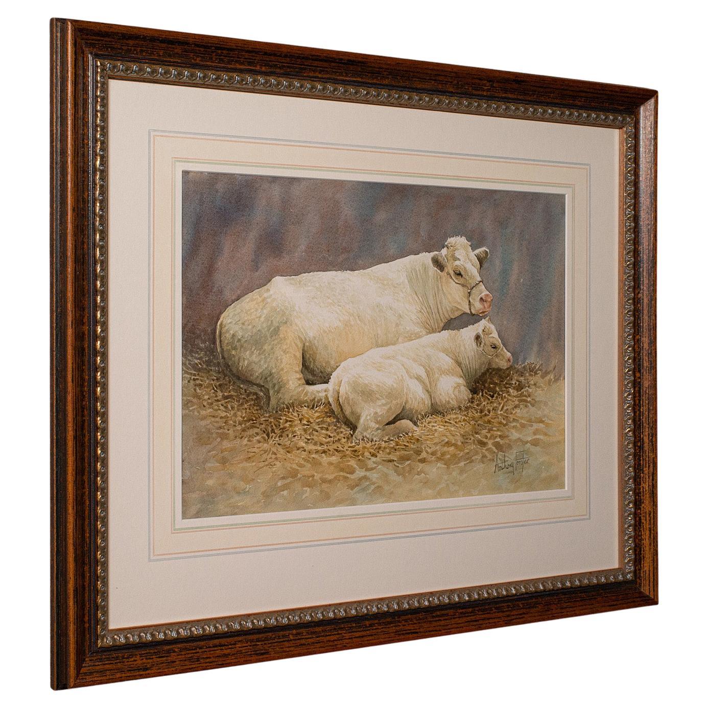 Vintage Livestock Watercolour, English, Art, Animal Painting, Farming, Picture