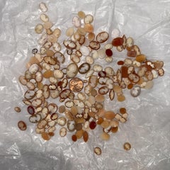 Vintage Lot Of 200 Shell Cameos Cameo Of Women Mixed Lot