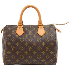 Vintage Louis Vuitton Speedy 25 Monogram Canvas City Hand Bag