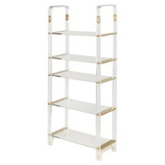 Vintage Lucite & Brass Etagere in the style of Charles Hollis Jones