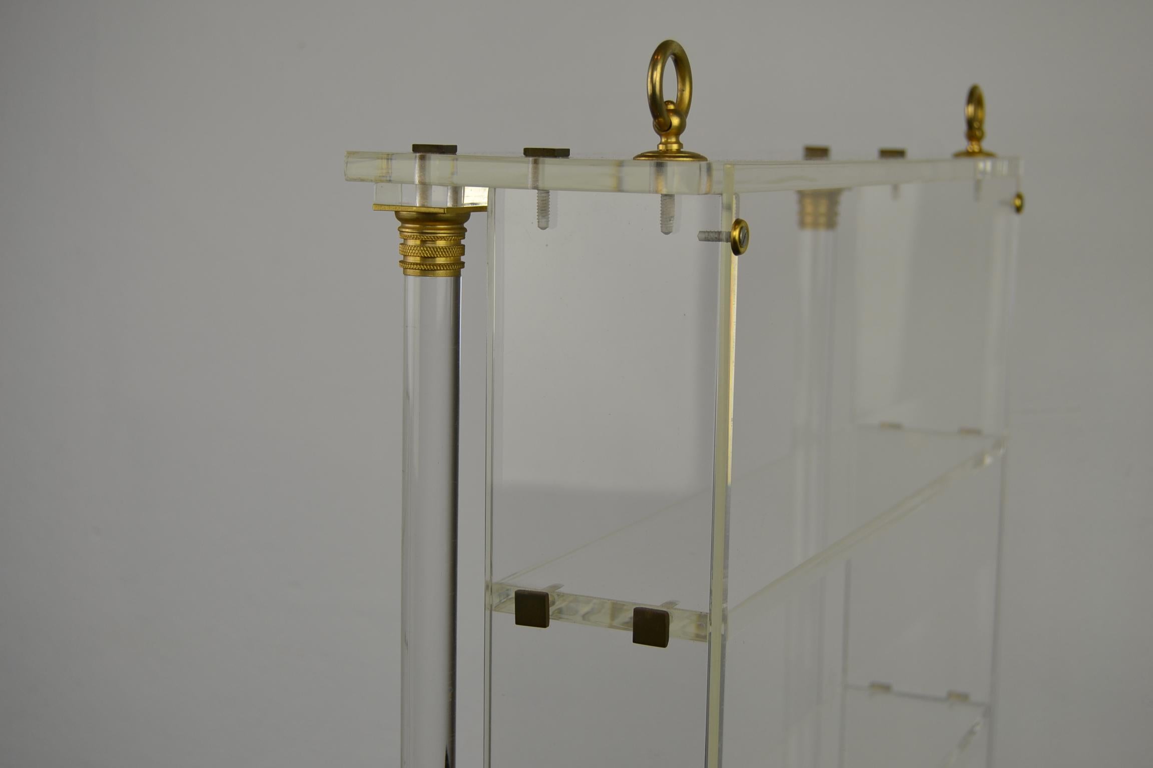 Vintage Lucite Wall Rack or Open Showcase 8