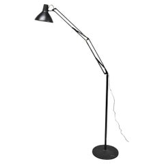 Floor Lamps