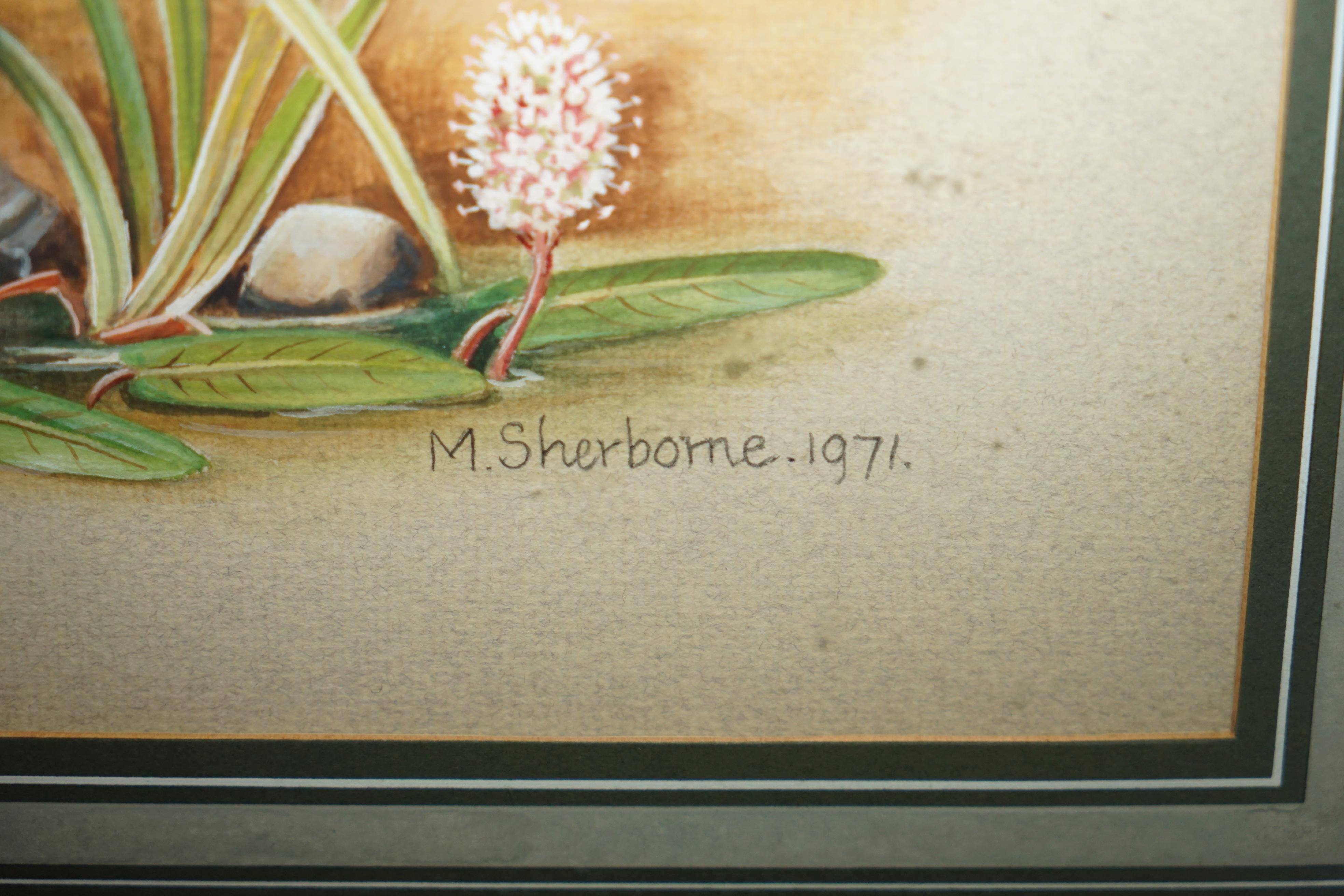 Carta M SHERMORNE, dipinto all'acquerello di M. I., firmato, raffigurante un'anatra. in vendita
