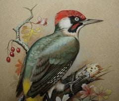 VINTAGE M SHERMORNE SIGNED ORNITHOLOGY WATERCOLOUR PAINTING OF A KINGFISHER BiRD