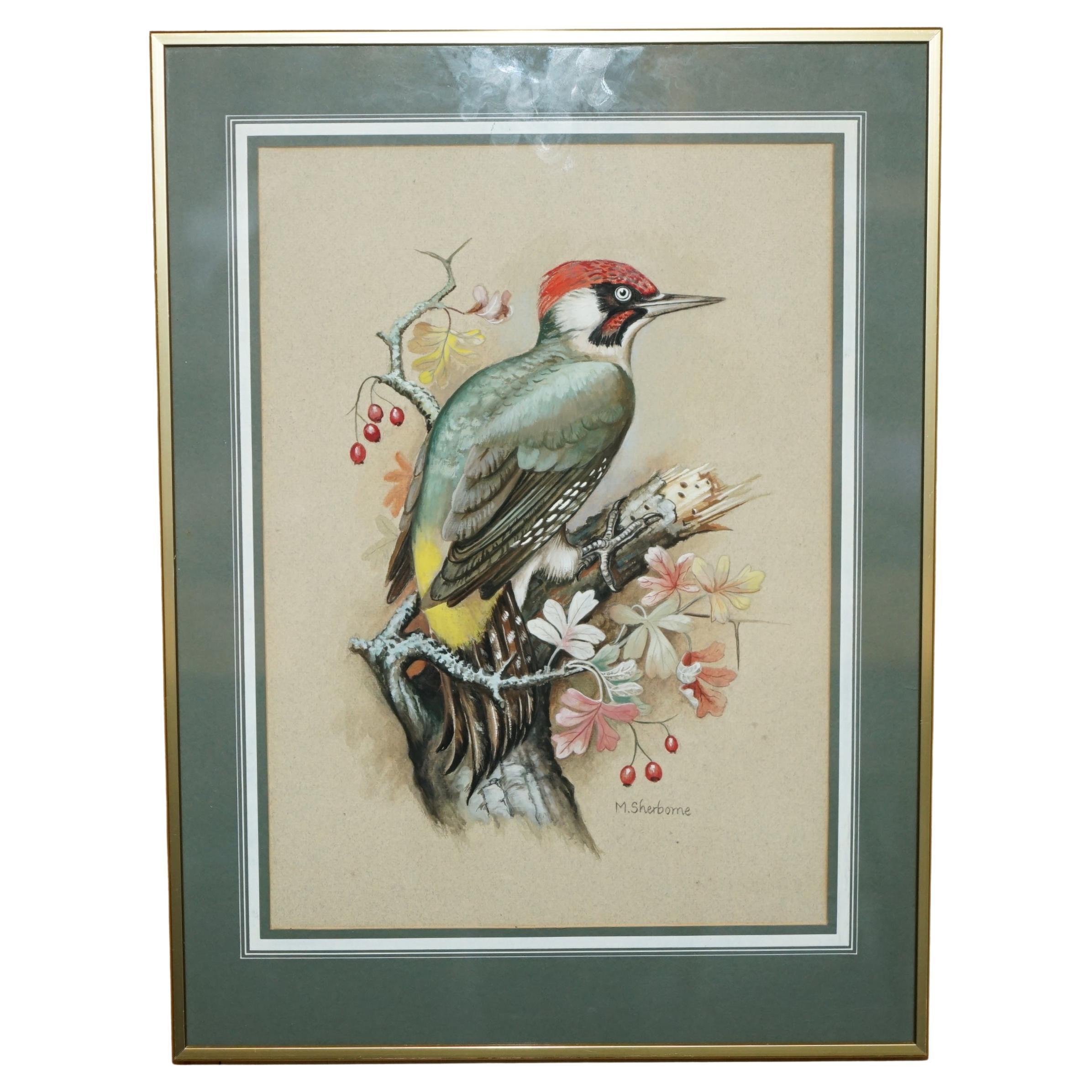 M. I. VINTAGE SHERMORNE, dipinto ad acquerello di Kingfisher firmato, BiRD