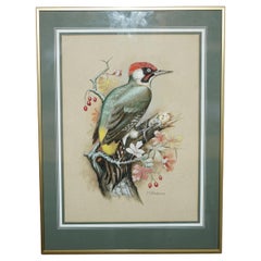 VINTAGE M SHERMORNE SIGNED ORNITHOLOGY WATERCOLOUR PAINTING OF A KINGFISHER BiRD