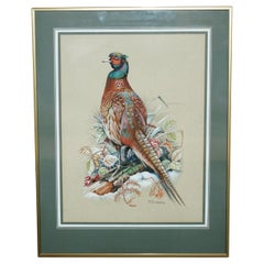 VINTAGE M SHERMORNE SIGNED ORNITHOLOGY WATERCOLOUR PAINTING OF A PHEASANT BiRD