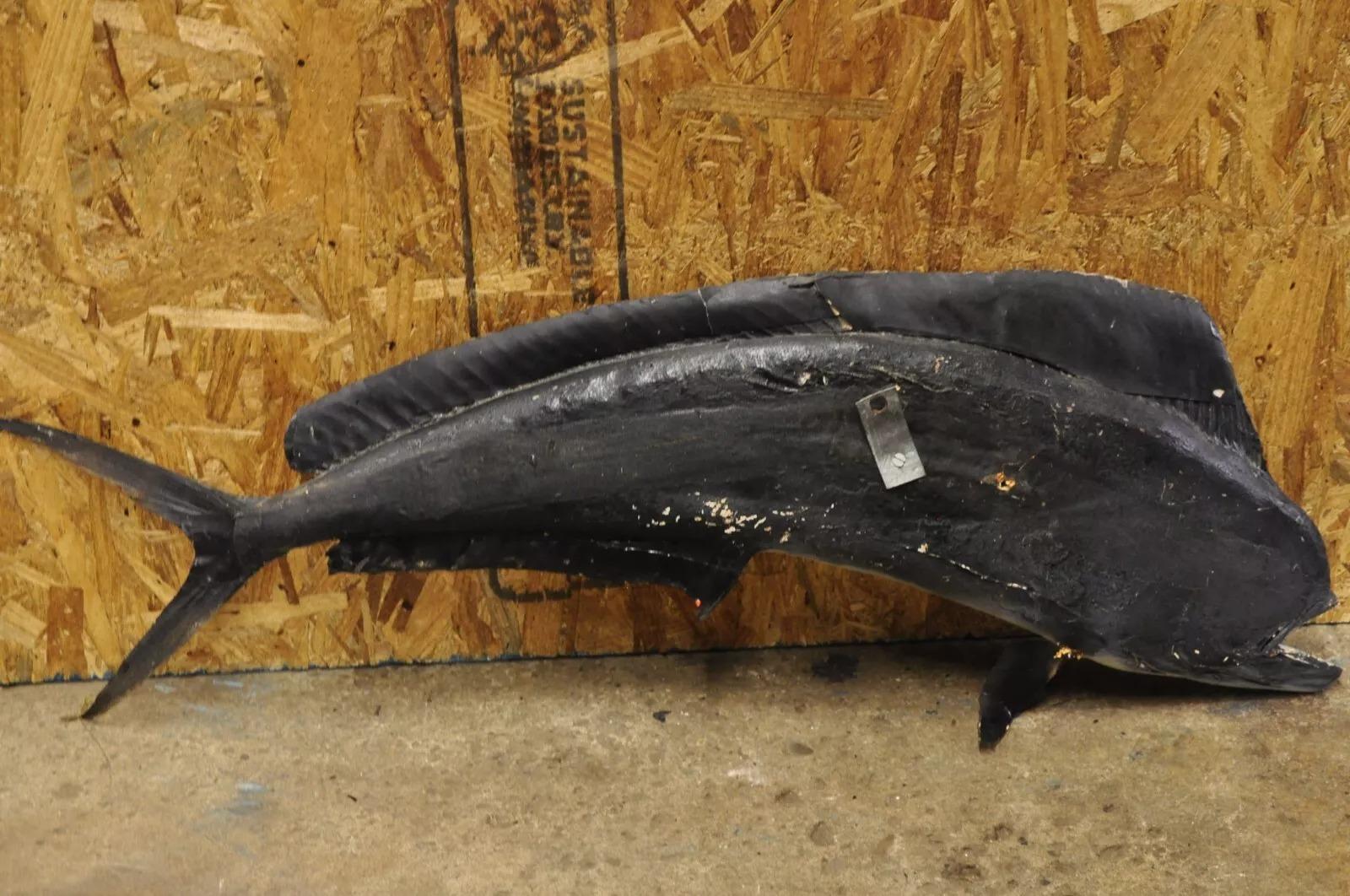 Mahi-mahi Fisch-Replica-Wandschmuck, Taxidermie, Fischen-Wandschmuck 3