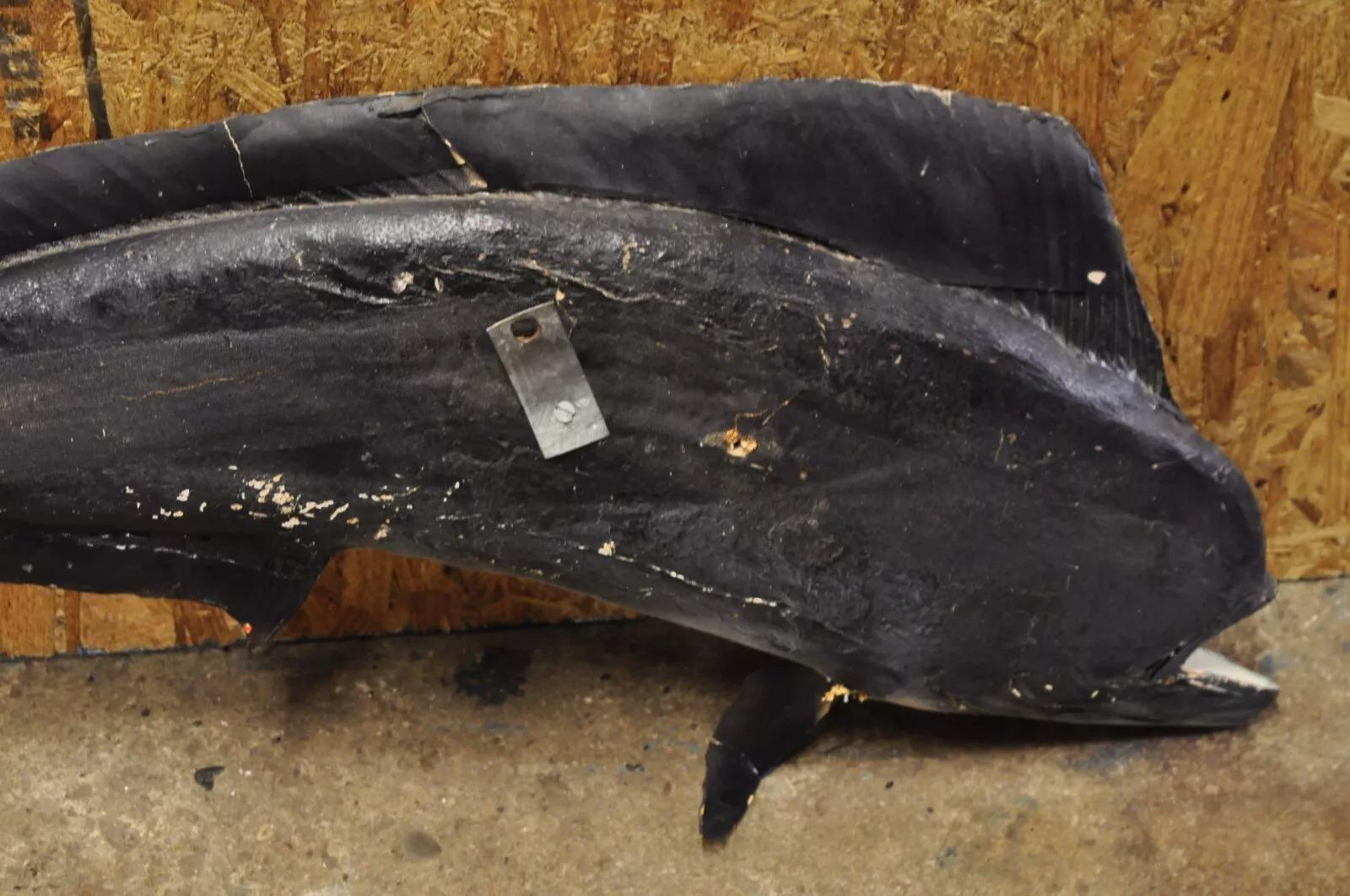 Mahi-mahi Fisch-Replica-Wandschmuck, Taxidermie, Fischen-Wandschmuck 4