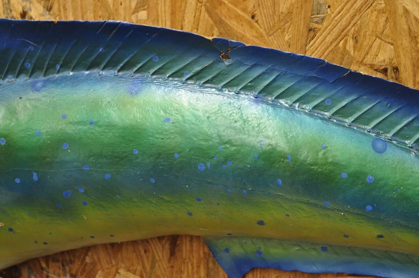 Mahi-mahi Fisch-Replica-Wandschmuck, Taxidermie, Fischen-Wandschmuck (Rustikal)